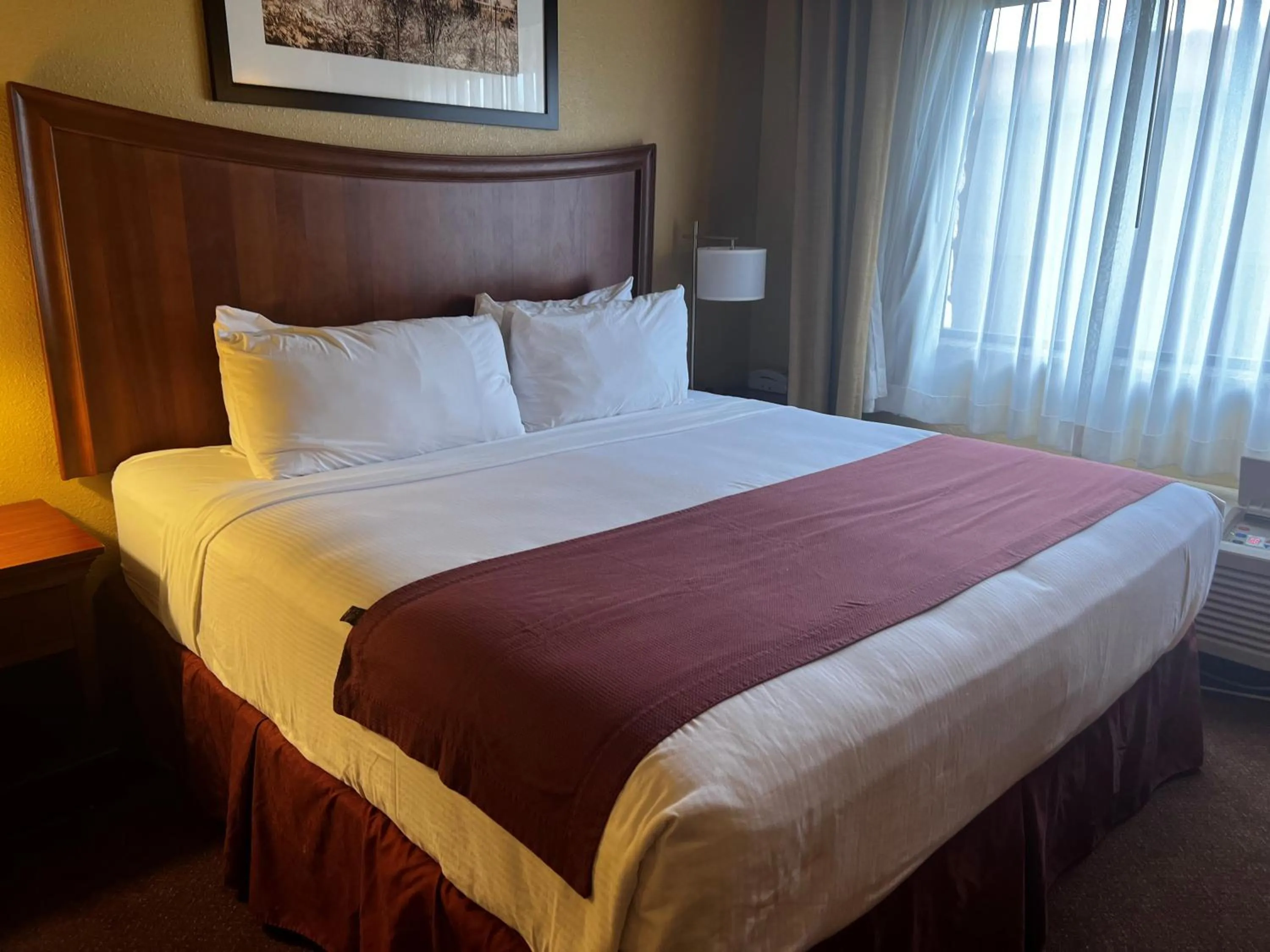 Bed in Baymont by Wyndham Cuero