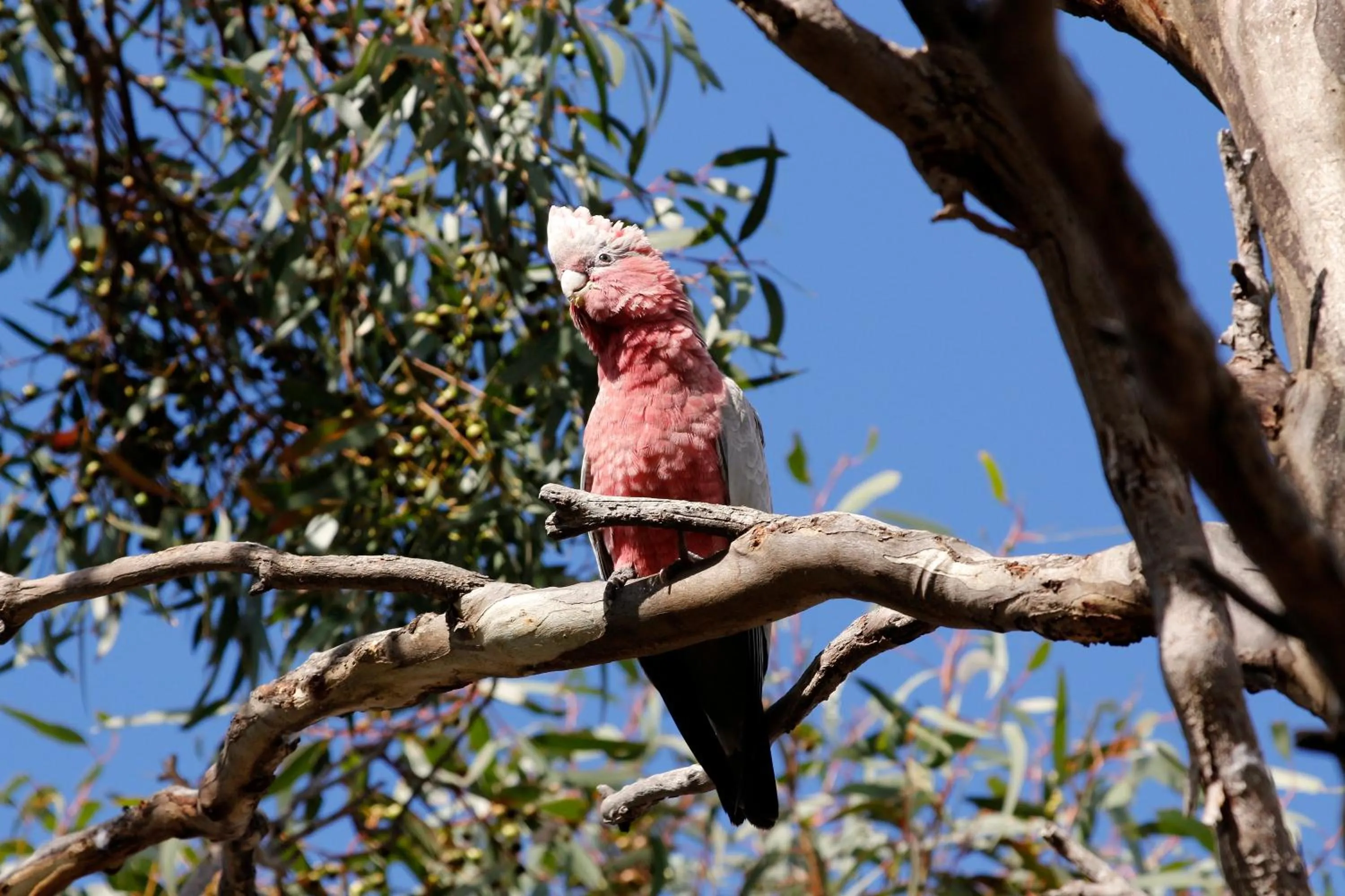 Natural landscape in Cape Jervis Holiday Units