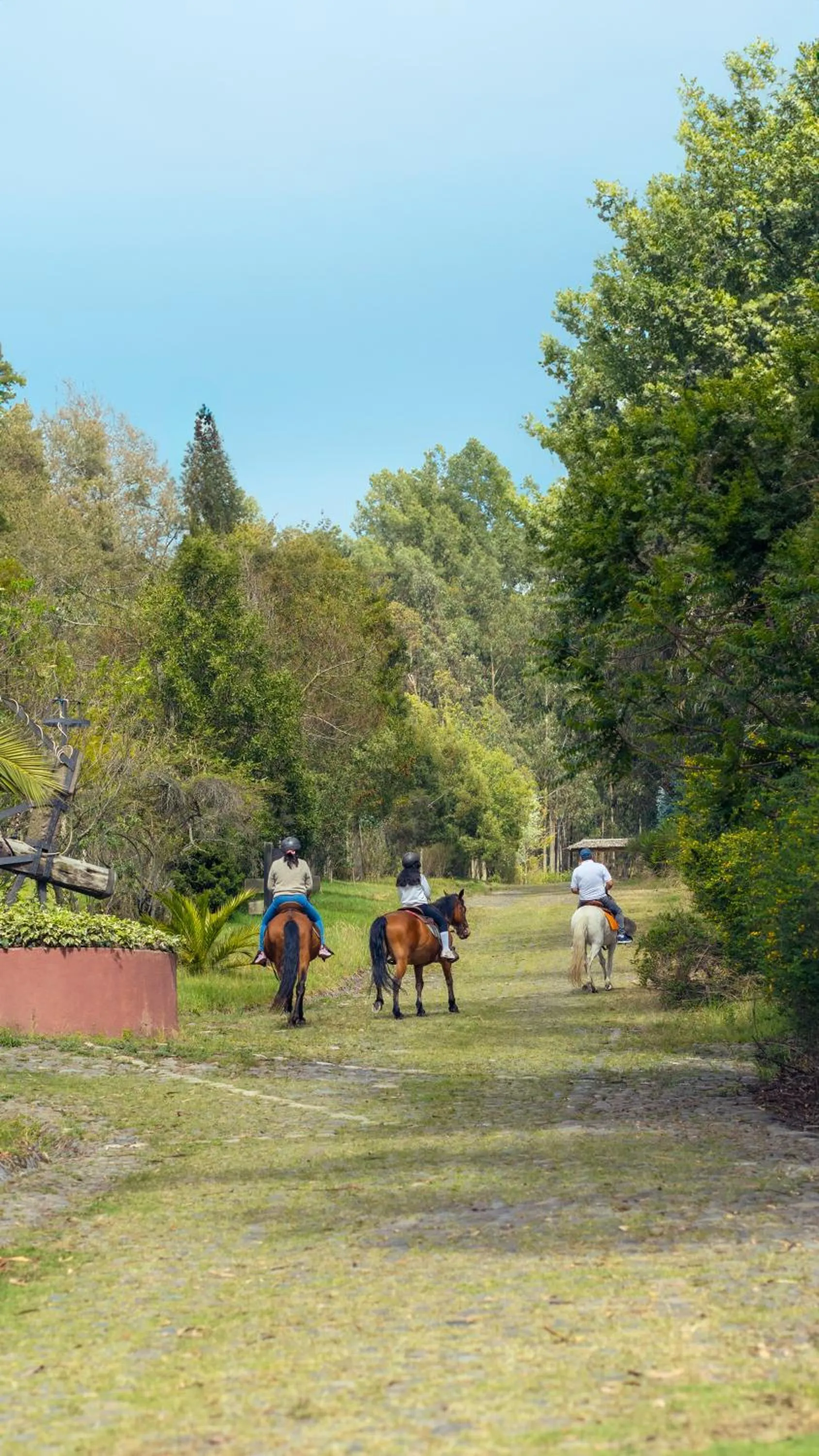 Day in Hacienda Hostería San Luis