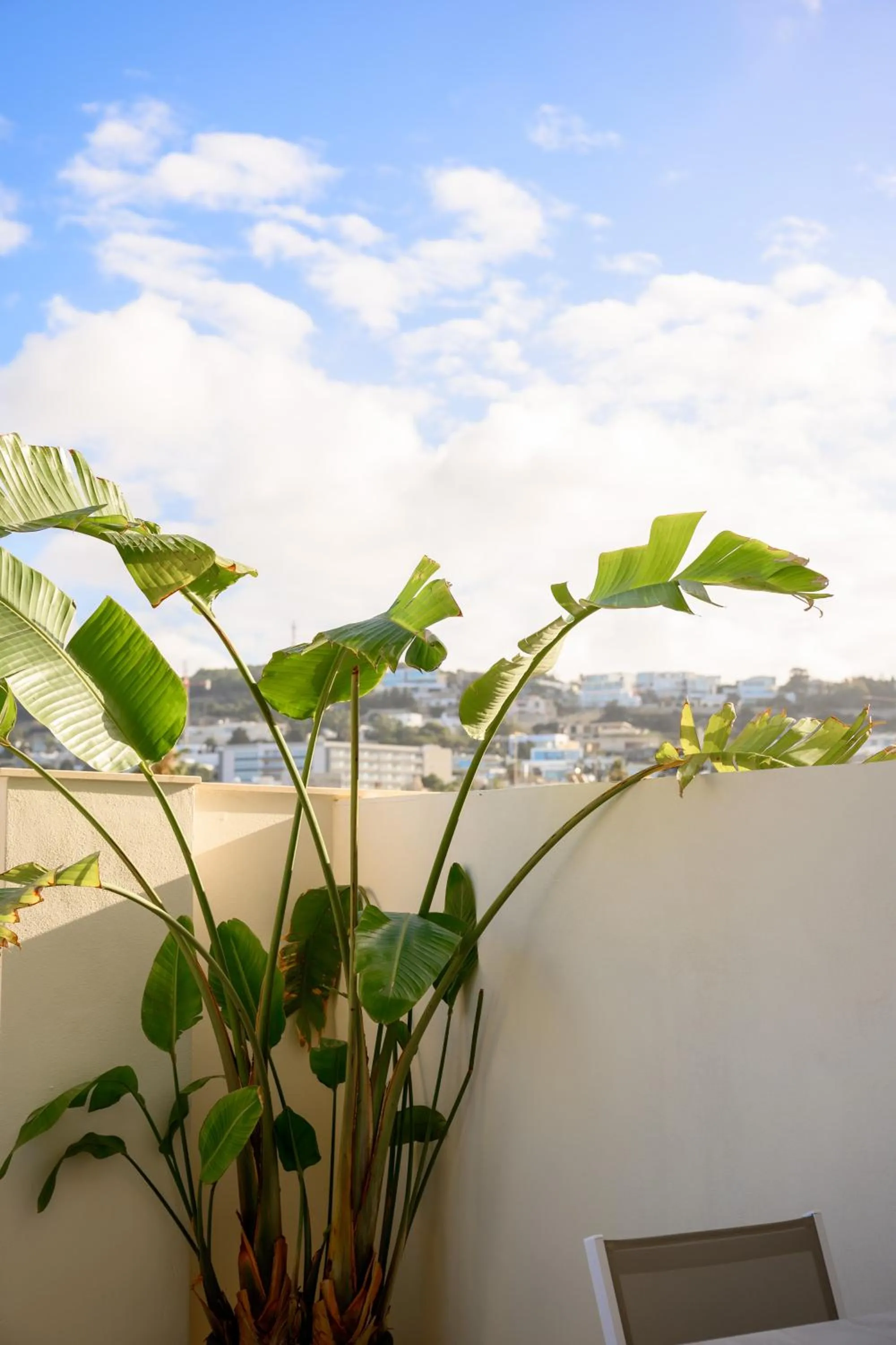 Day in XVI Suites - Adults Only