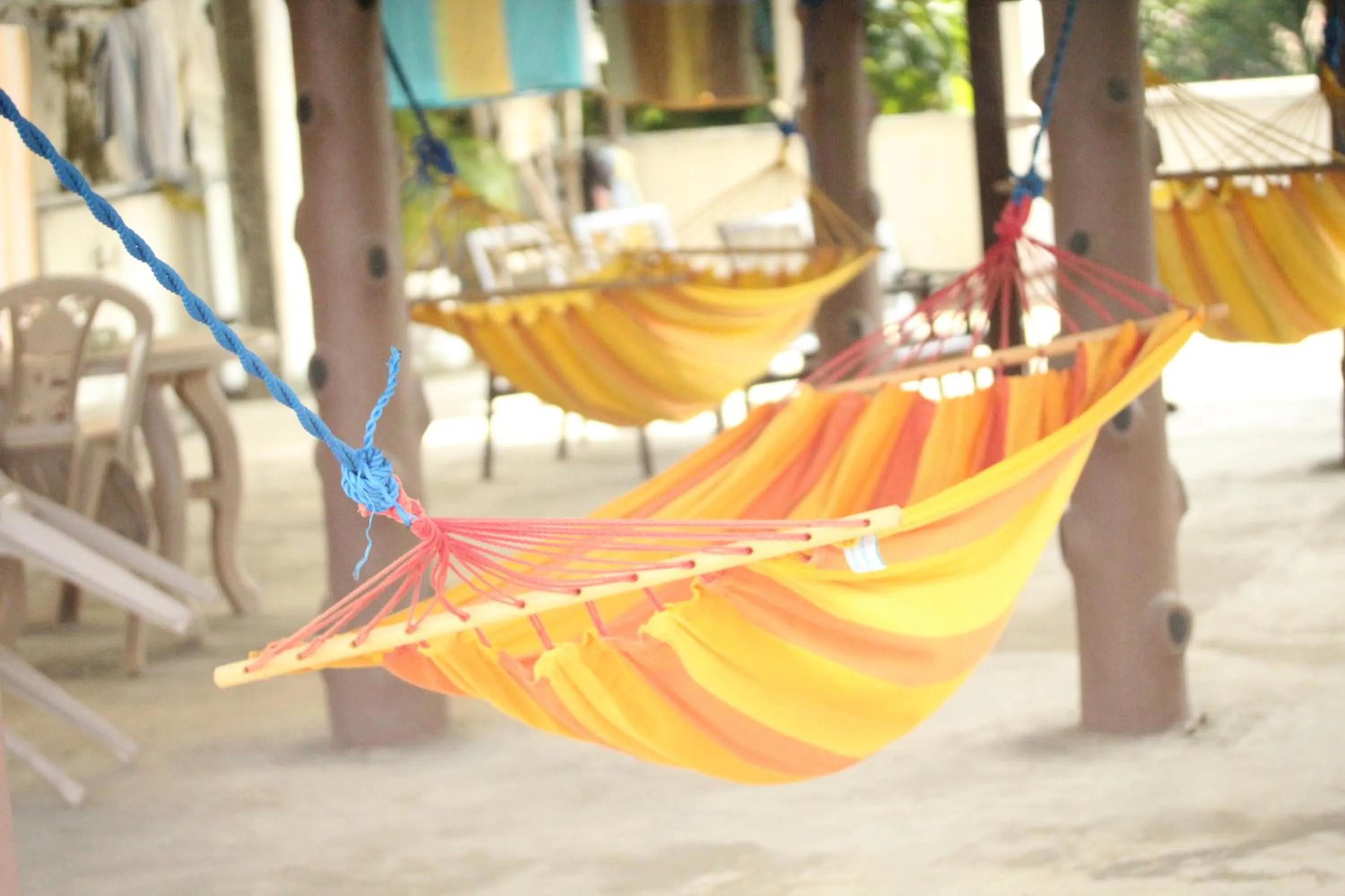 Balcony/Terrace in Muhsin Villa - Galle Fort
