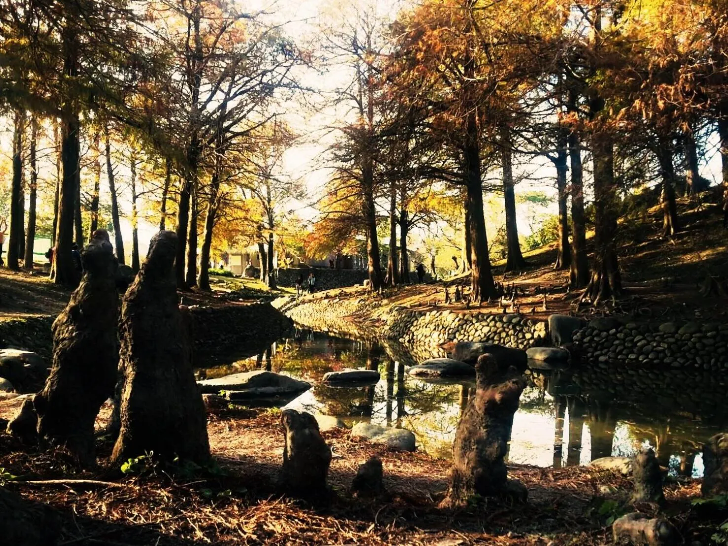 Nearby landmark in Park 61