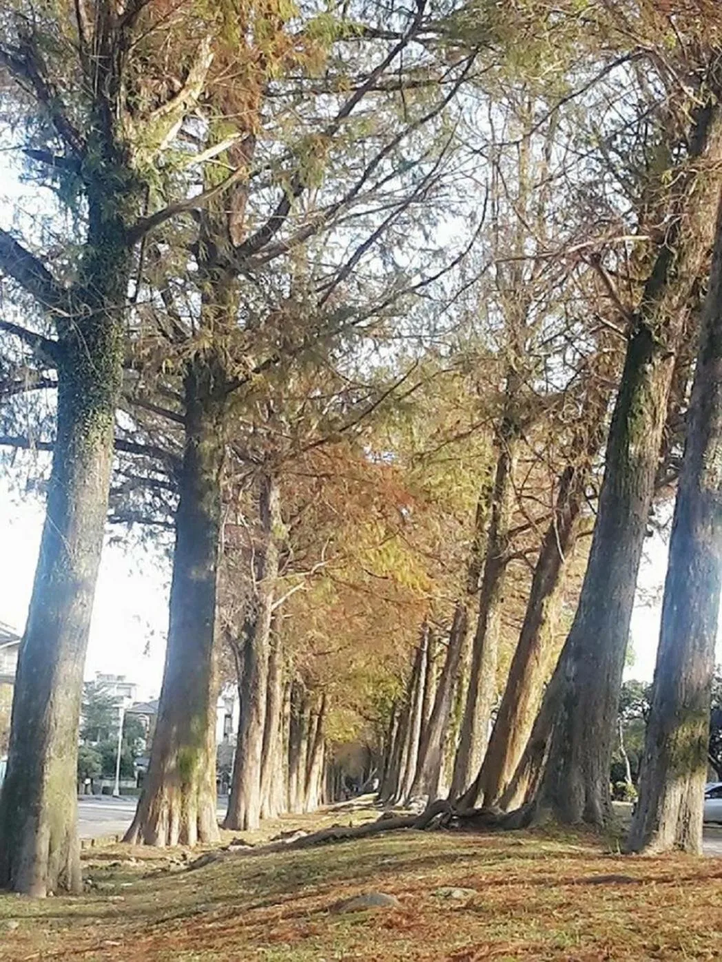 Nearby landmark in Park 61