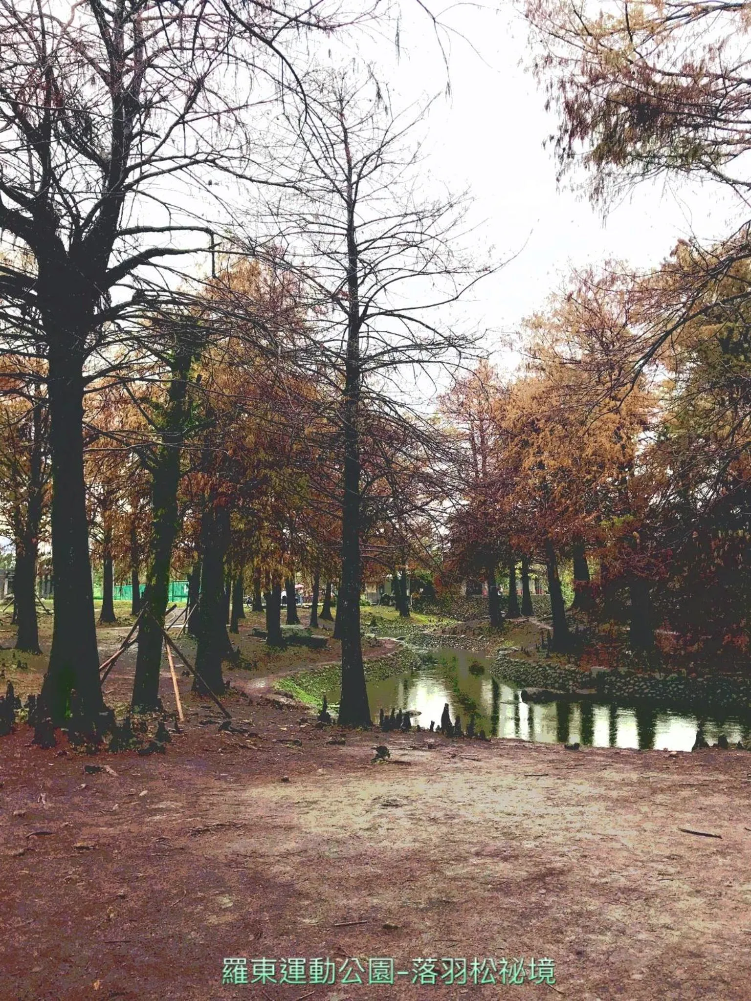 Nearby landmark in Park 61