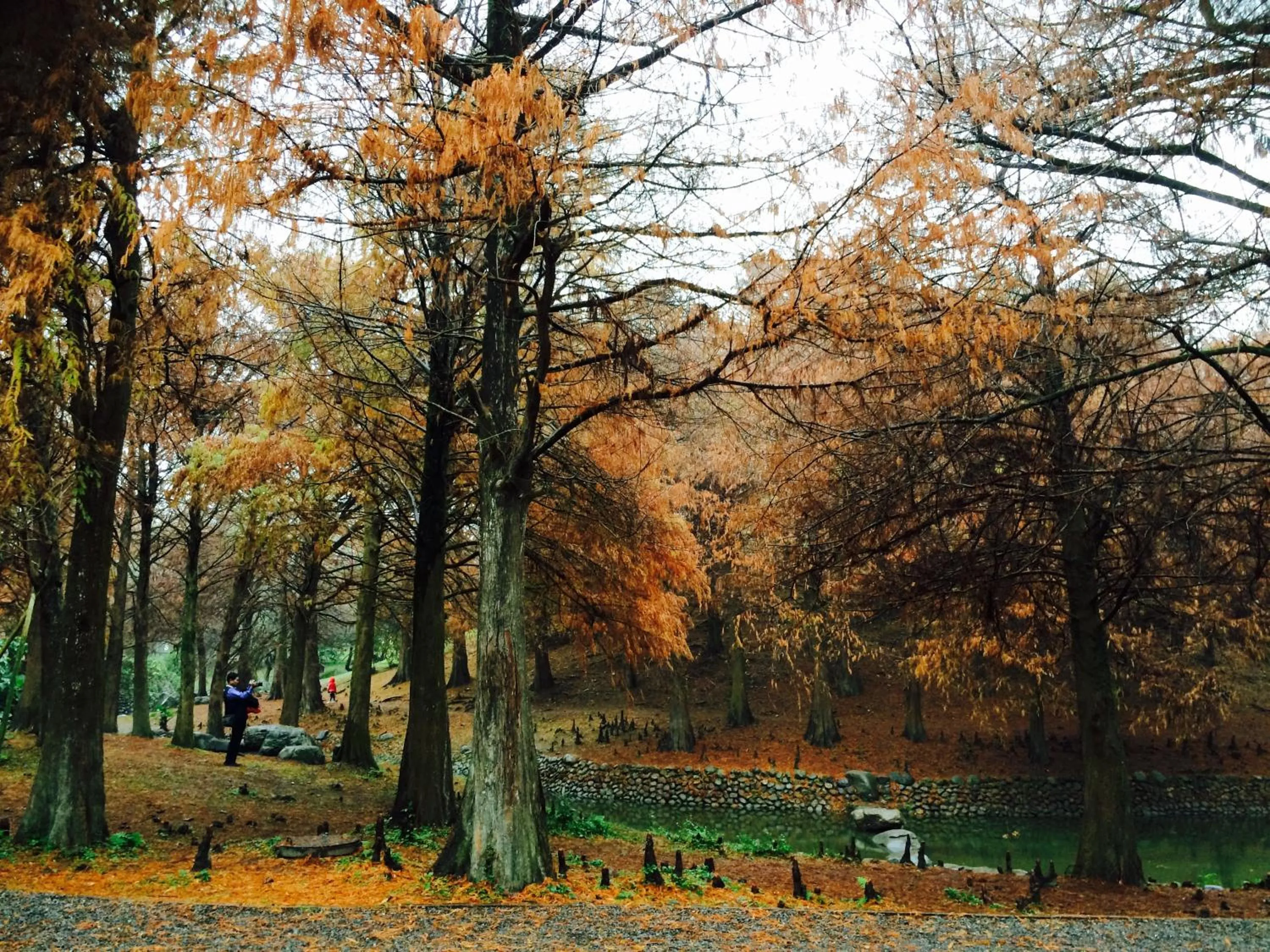 Nearby landmark in Park 61