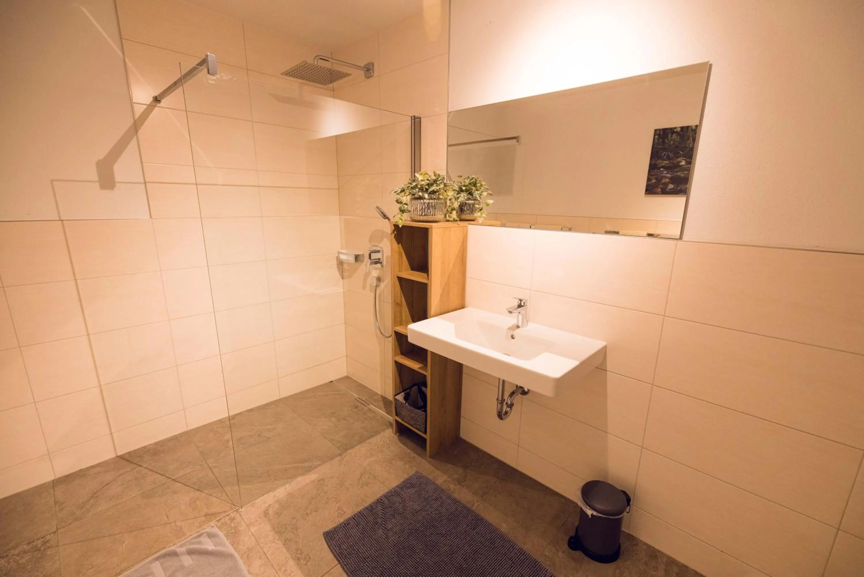 Bathroom in Chalet Arena