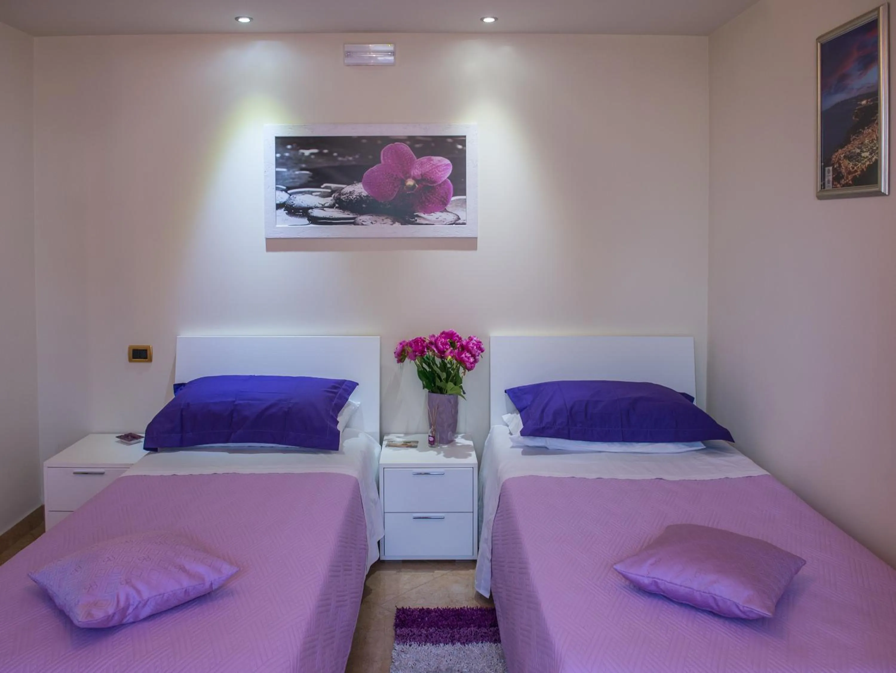 Bed in Airport House B&B