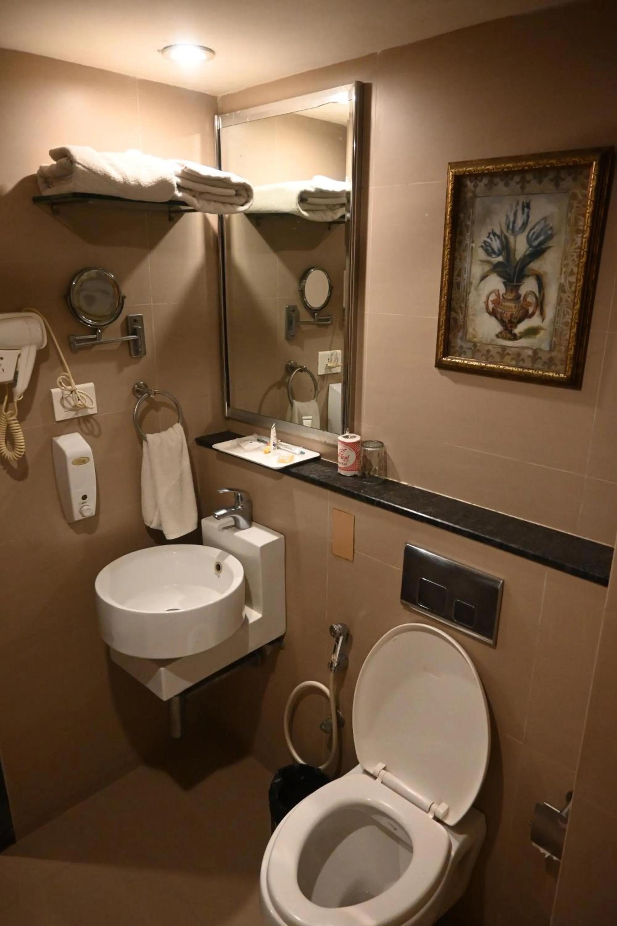 Bathroom in SVN GRAND