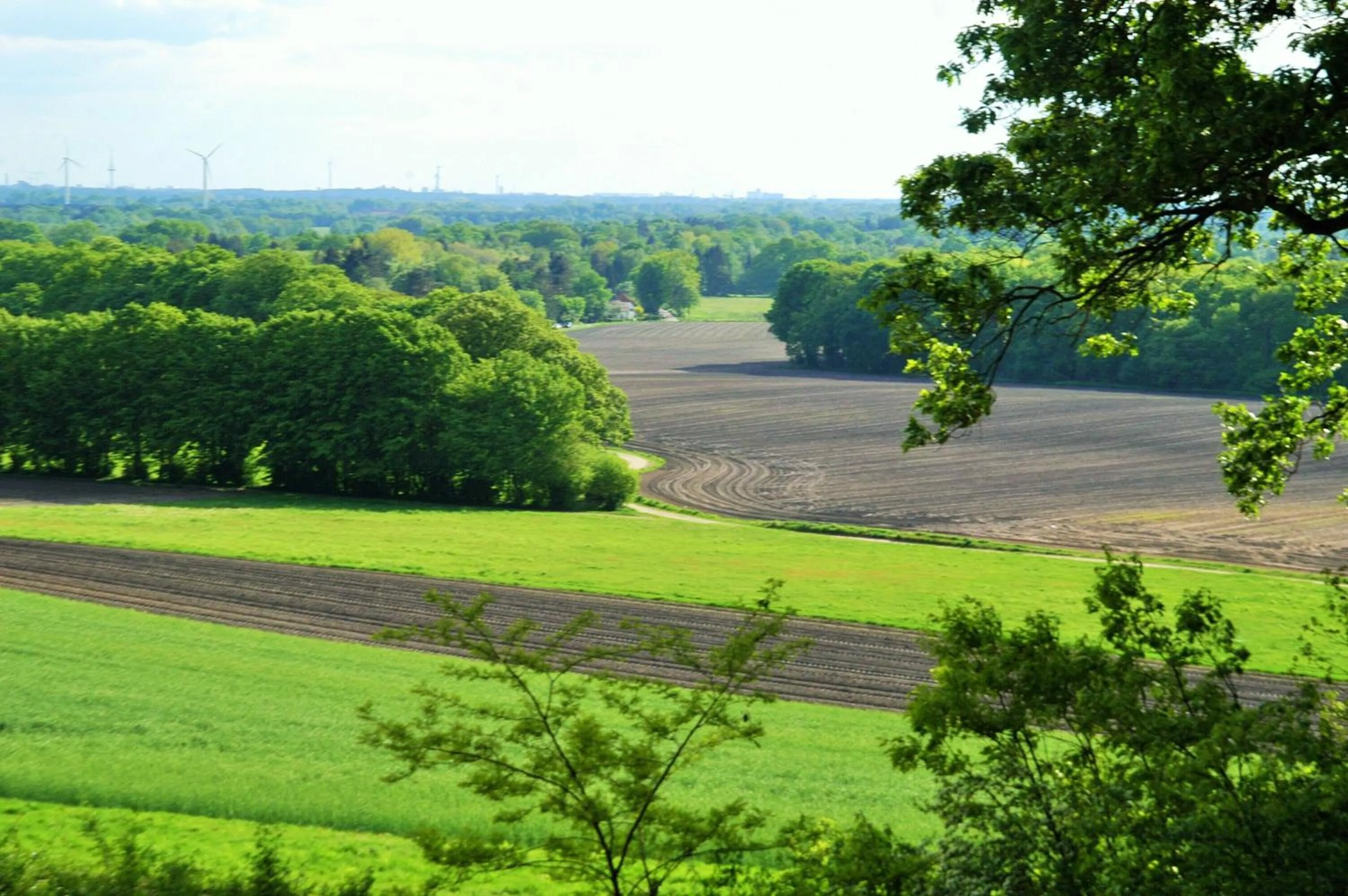 Natural landscape in Willi Ohler Haus