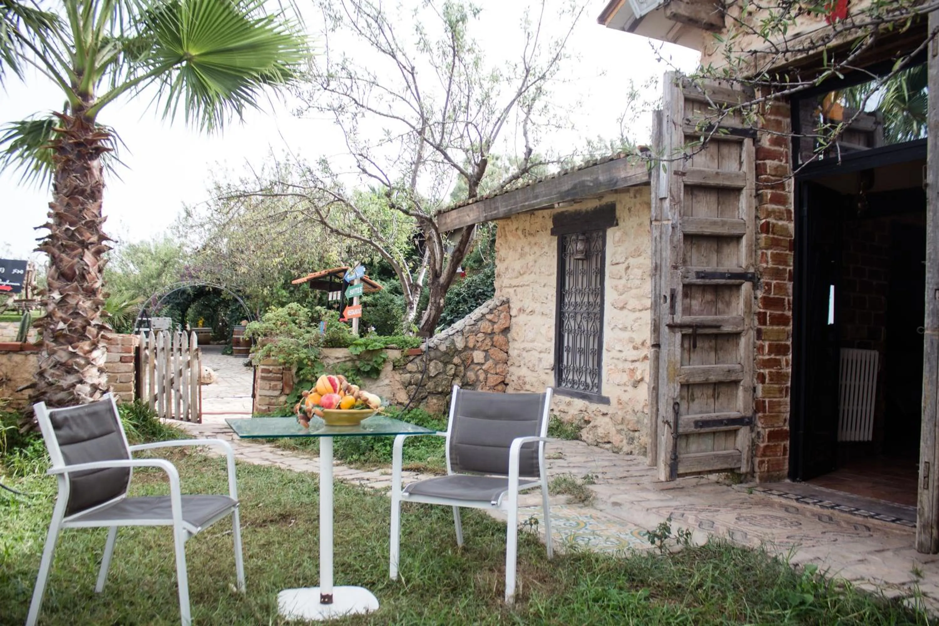 Garden in Dar Zaghouan