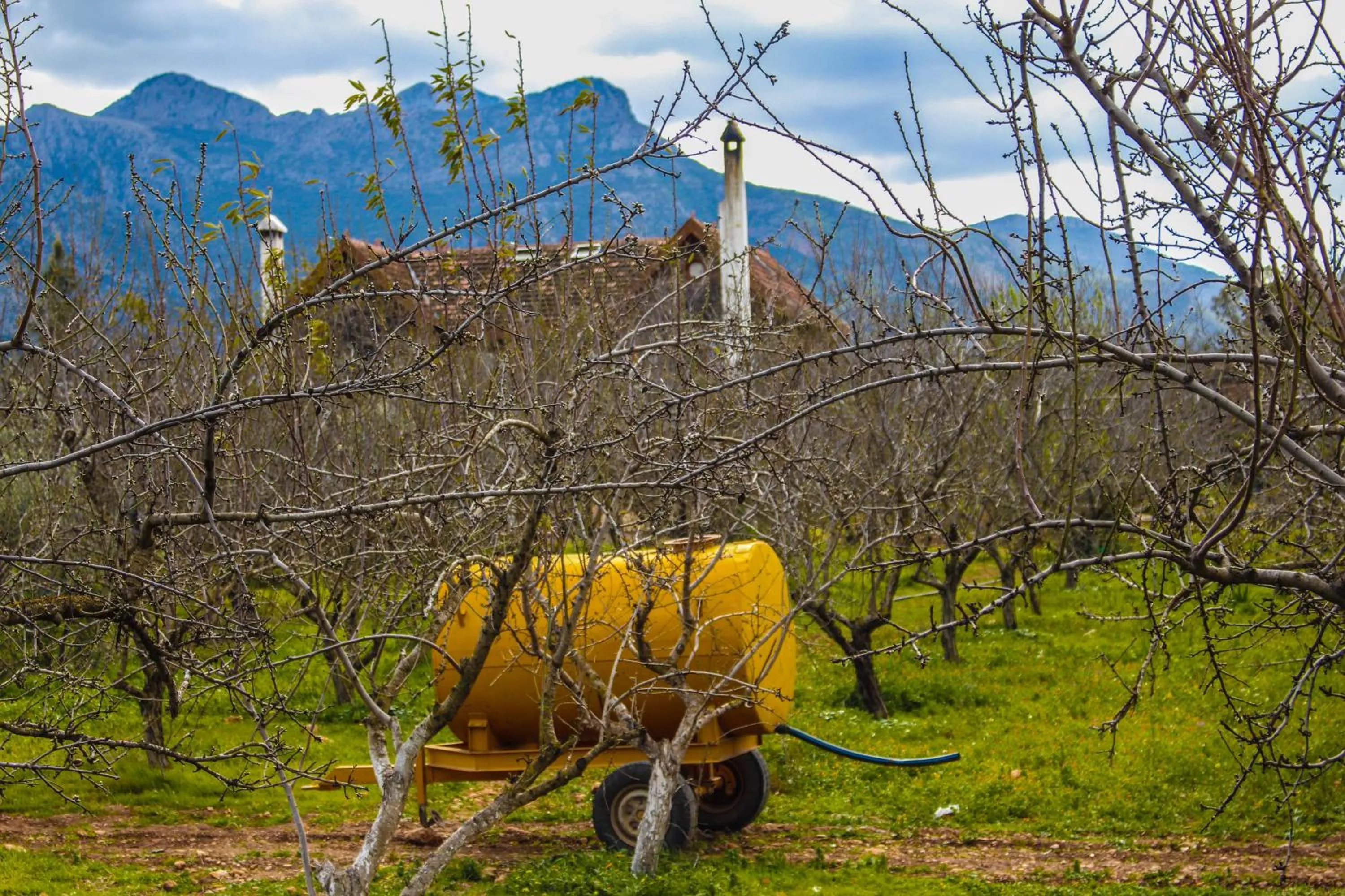 Natural landscape in Dar Zaghouan