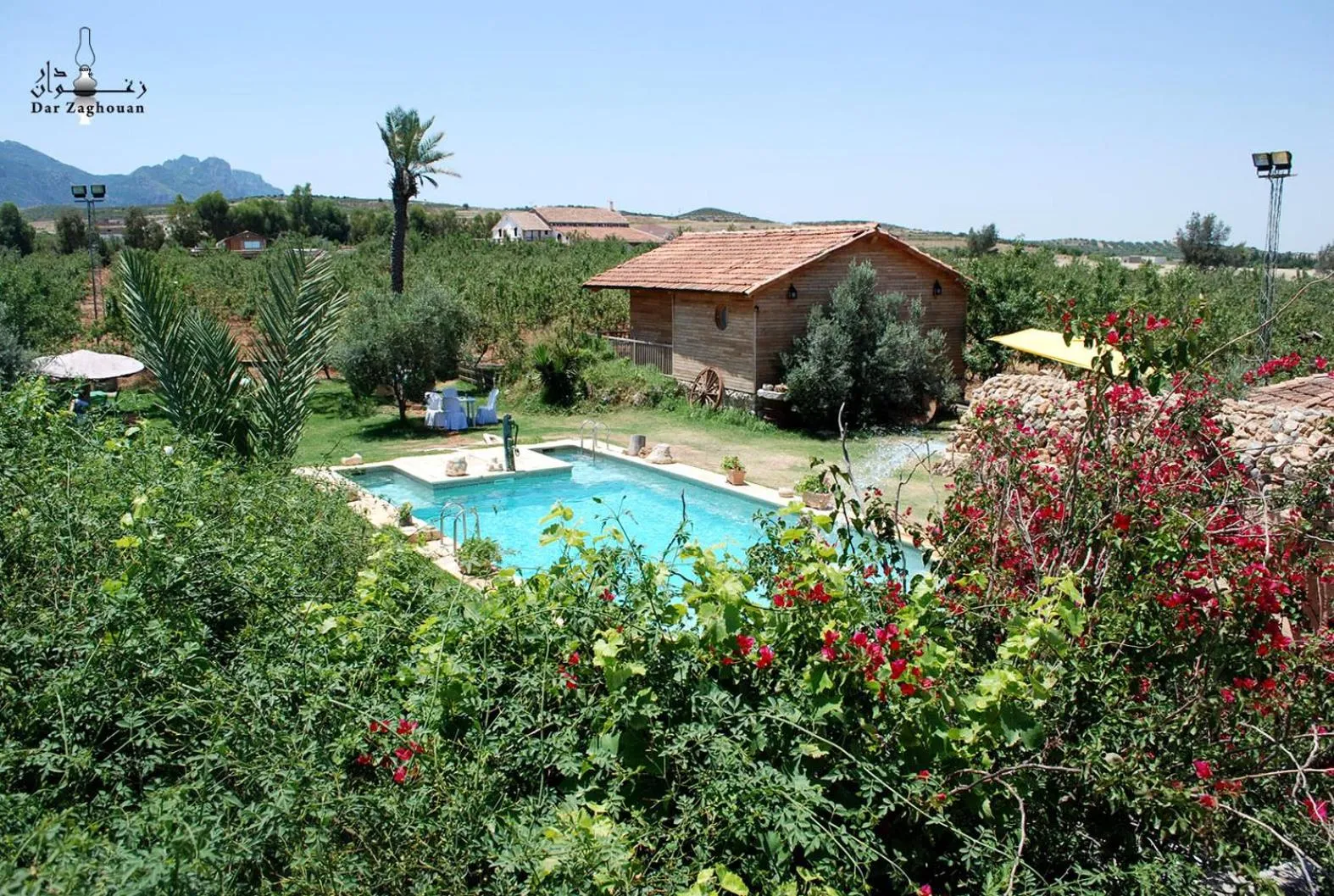 Garden in Dar Zaghouan