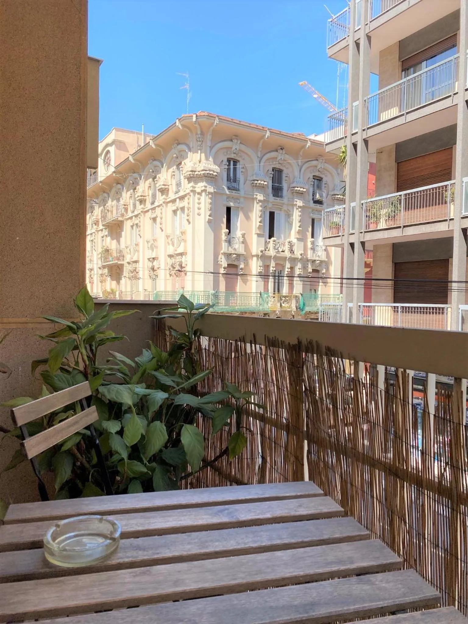 View (from property/room) in Olive Tree