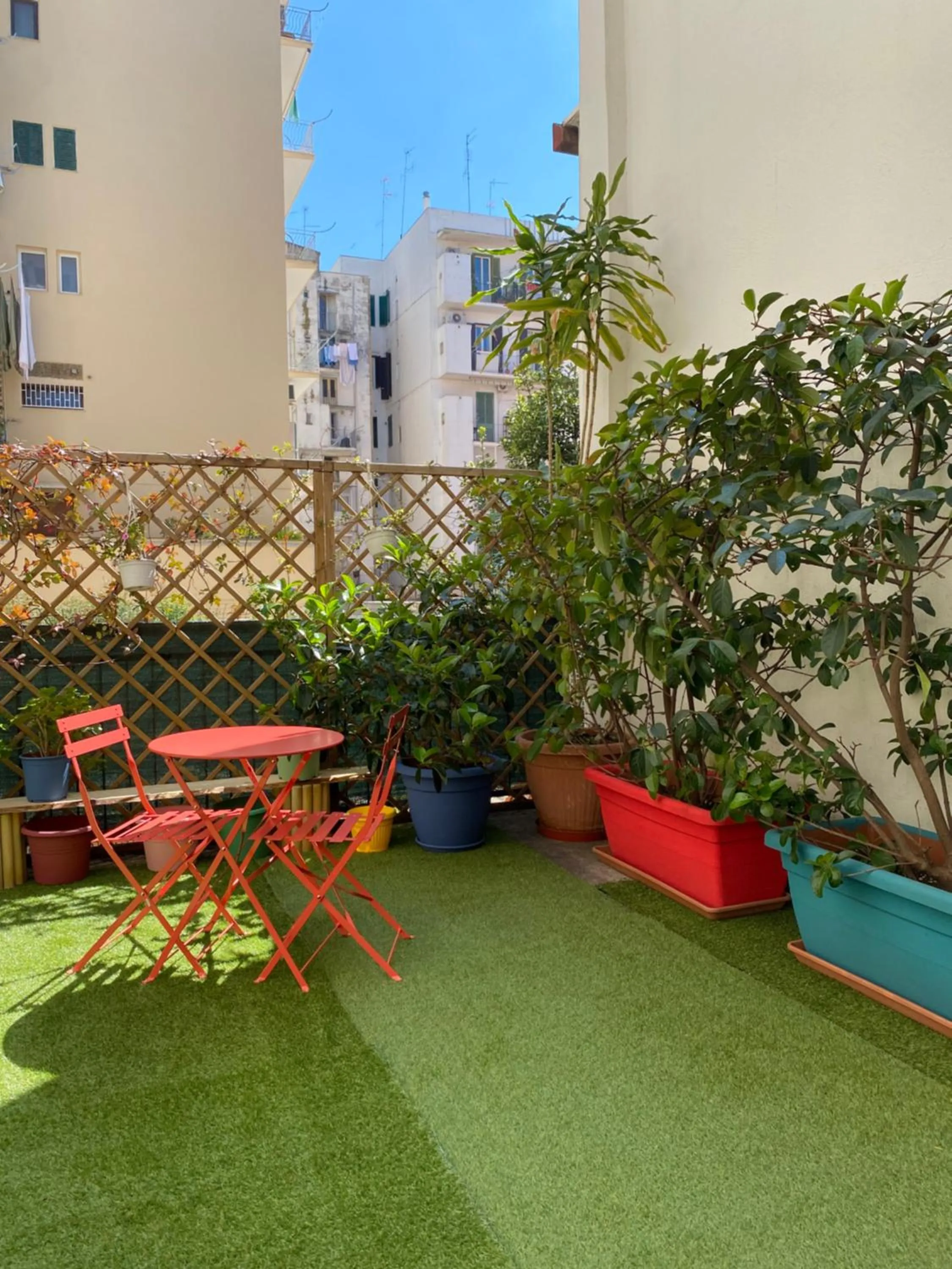 Garden in Olive Tree