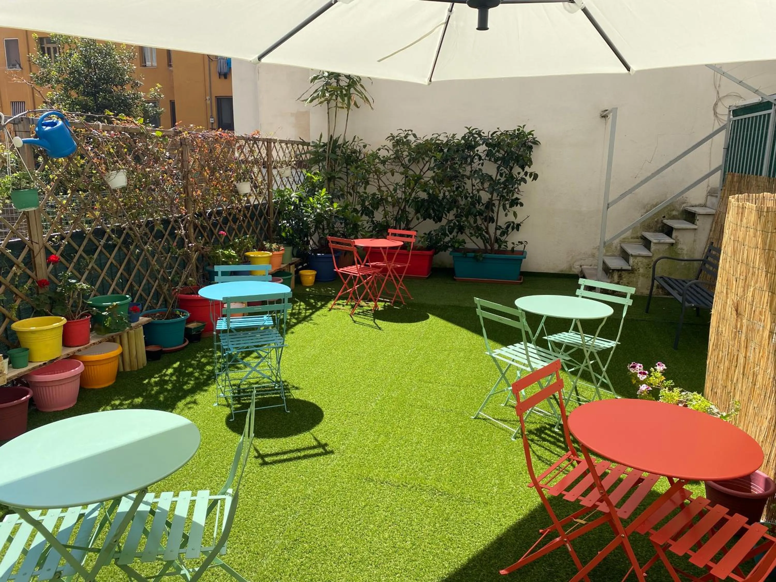 Garden in Olive Tree