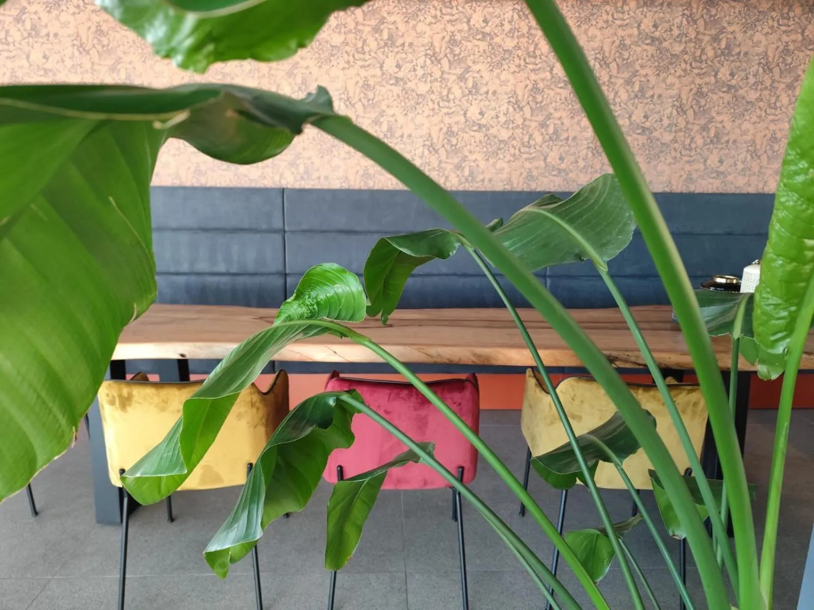 Lounge or bar in Hotel Sporting Riccione