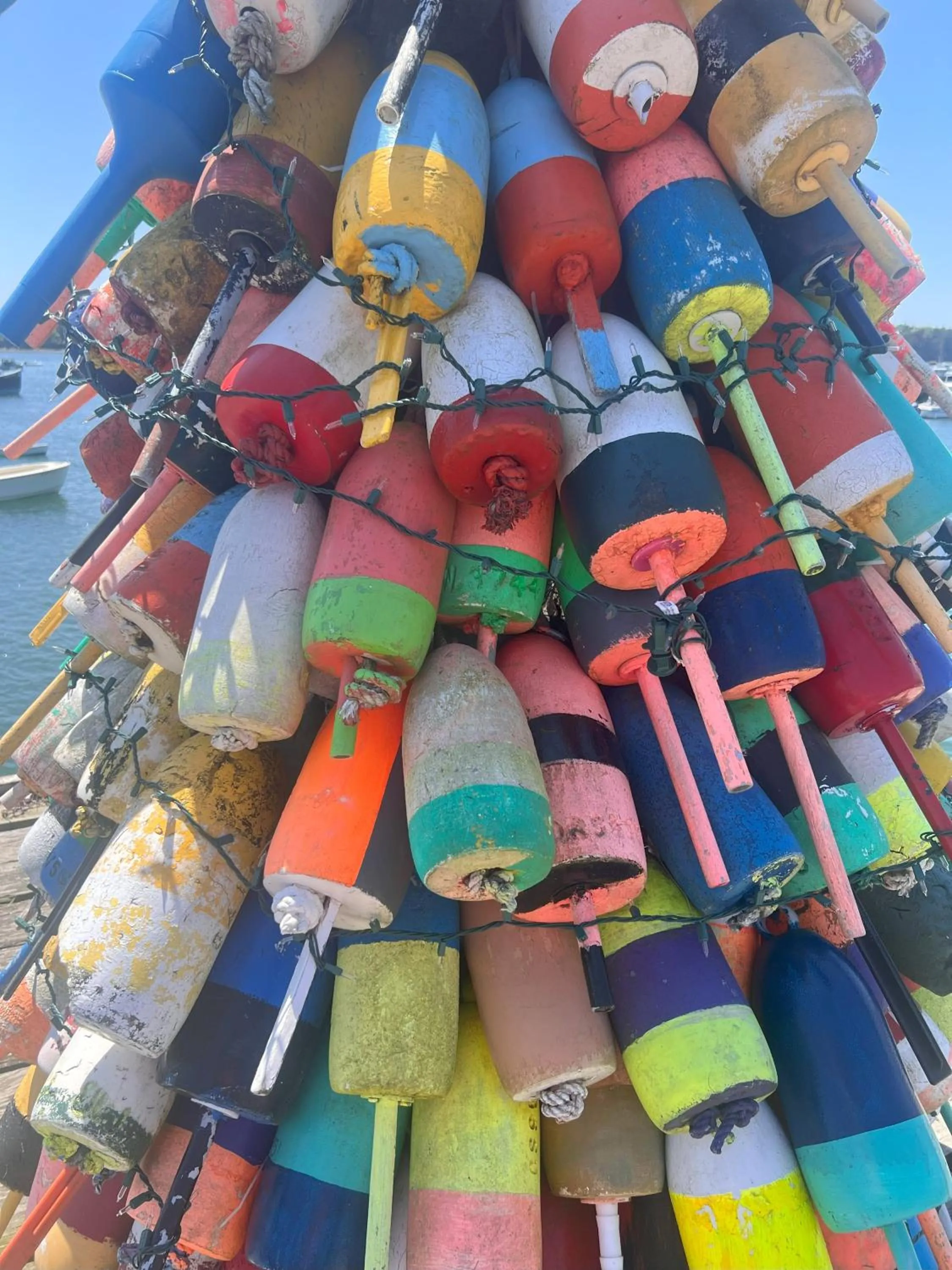 Trade Winds on the Bay