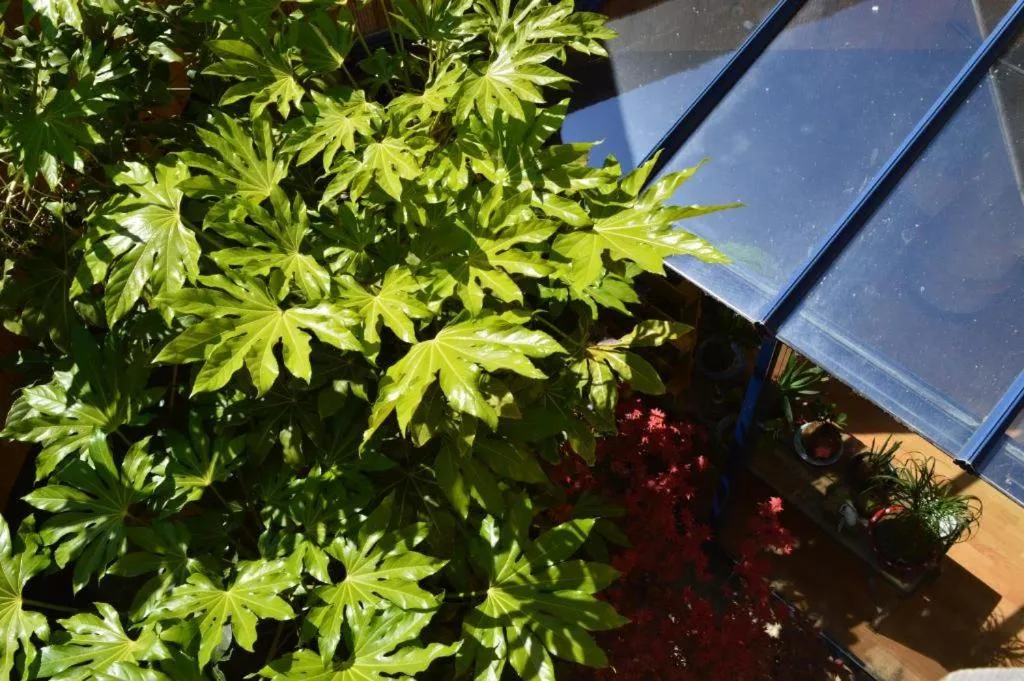 Day in Casa mARTa : Suites, terrasses et vue panoramique