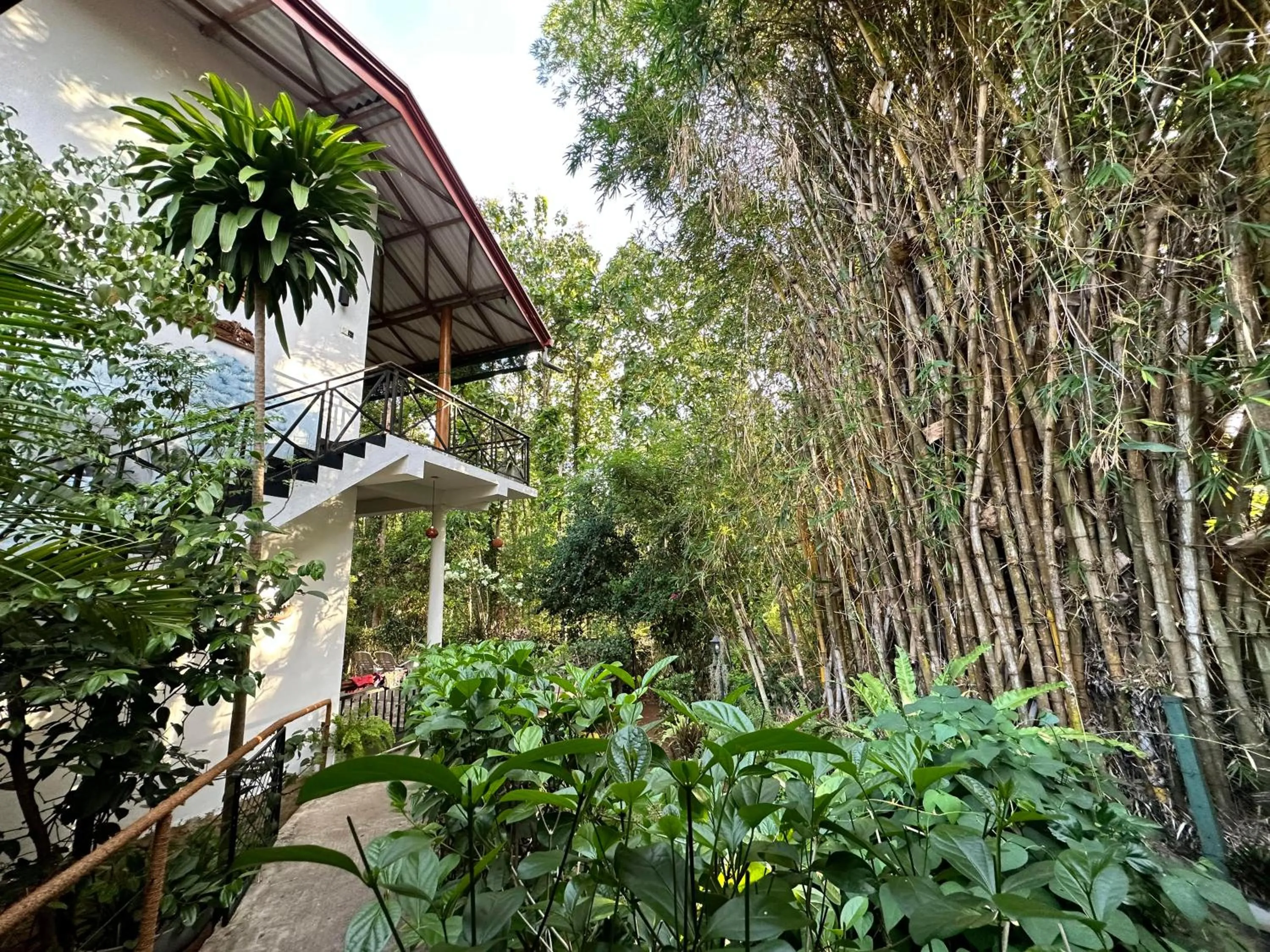 Property building in Nature House