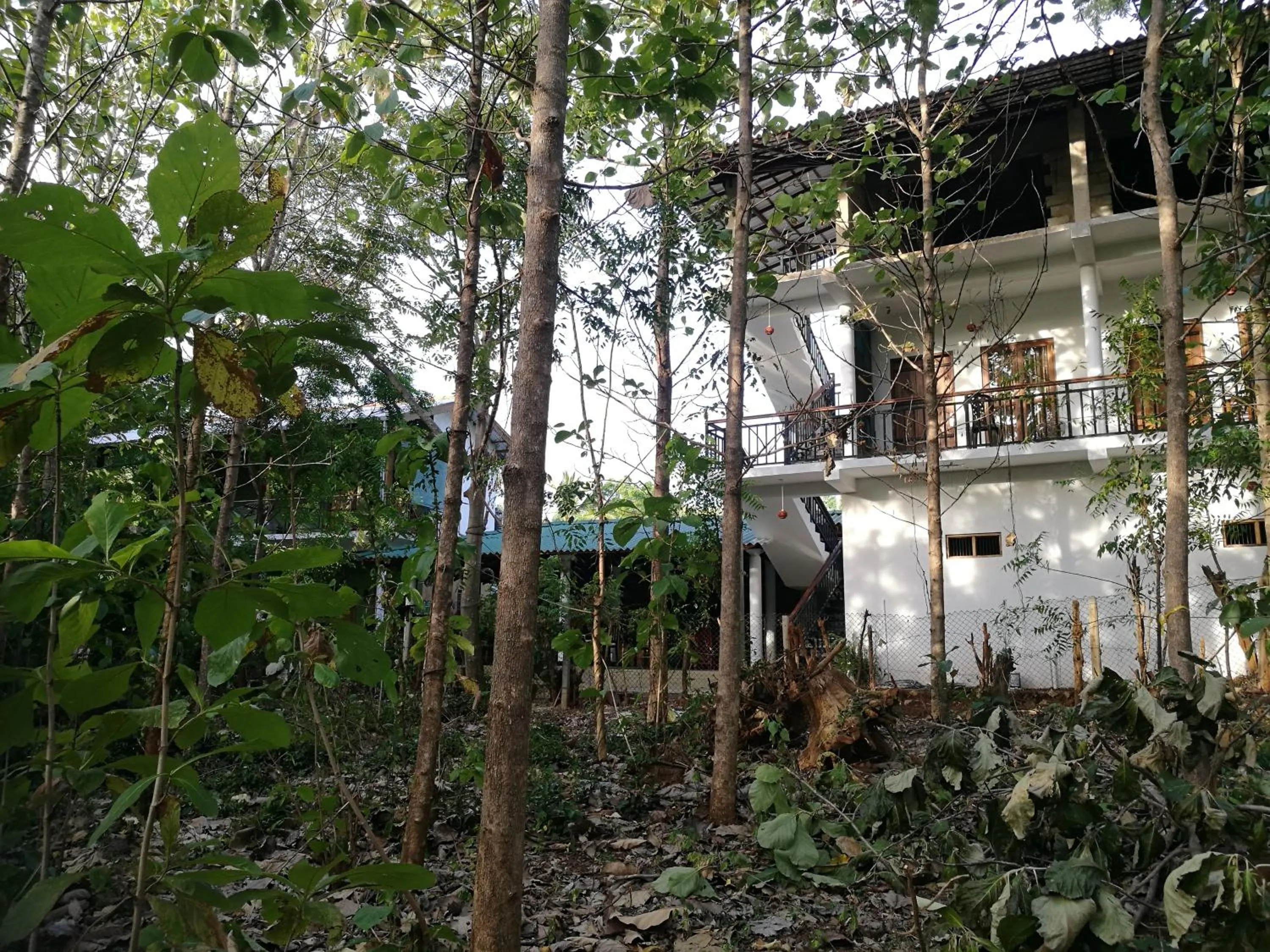 Garden in Nature House