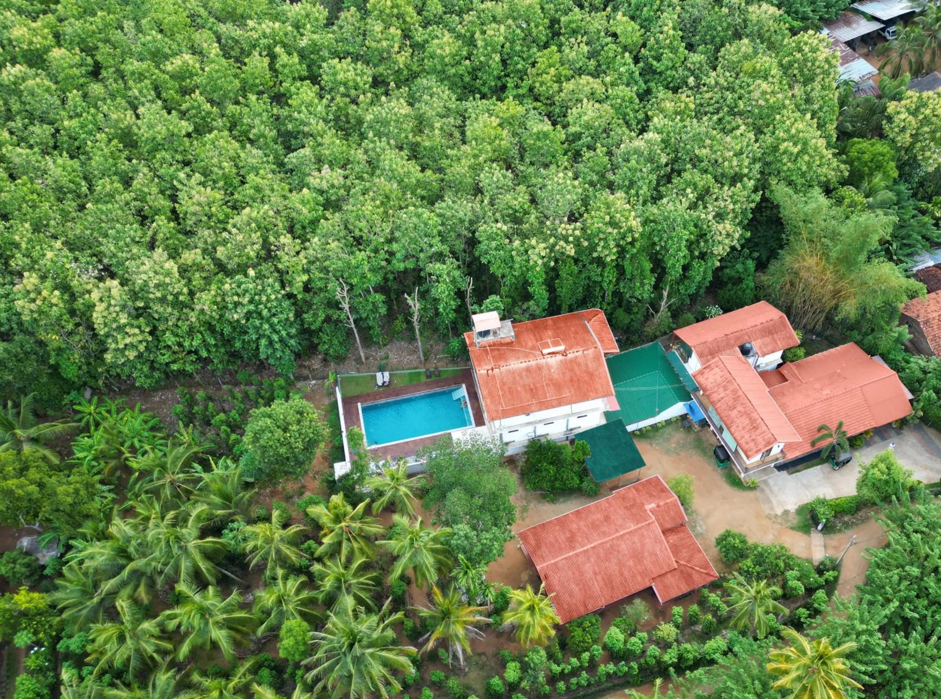 Property building in Nature House