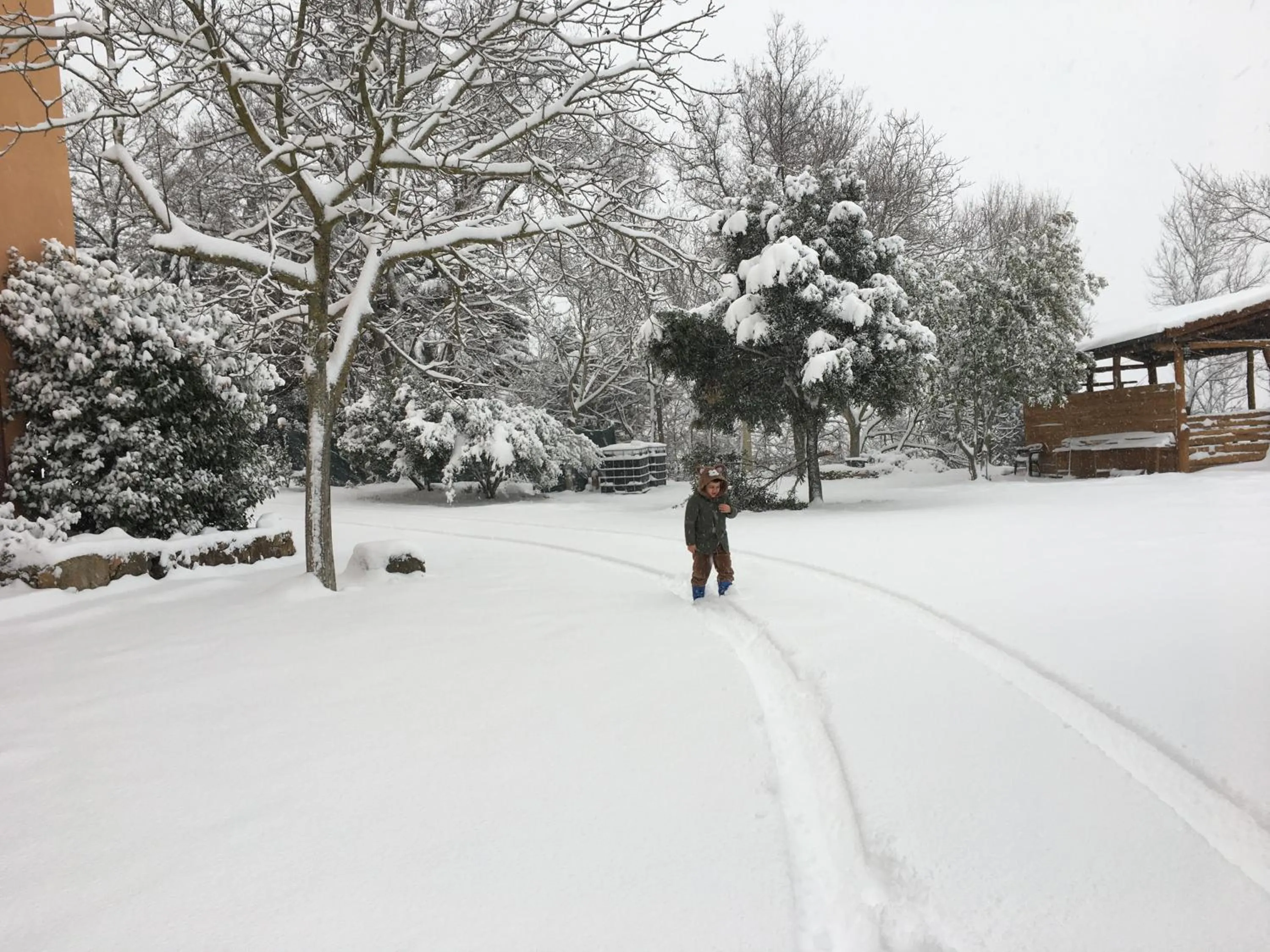 Garden in Hotel Miramonti Seulo Turismo Rurale