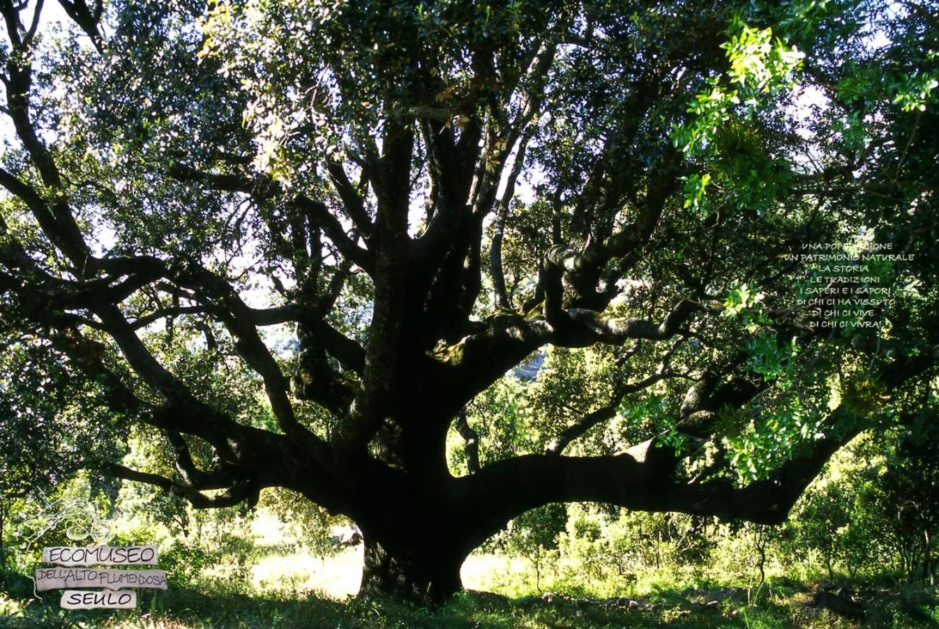 Hiking in Hotel Miramonti Seulo Turismo Rurale