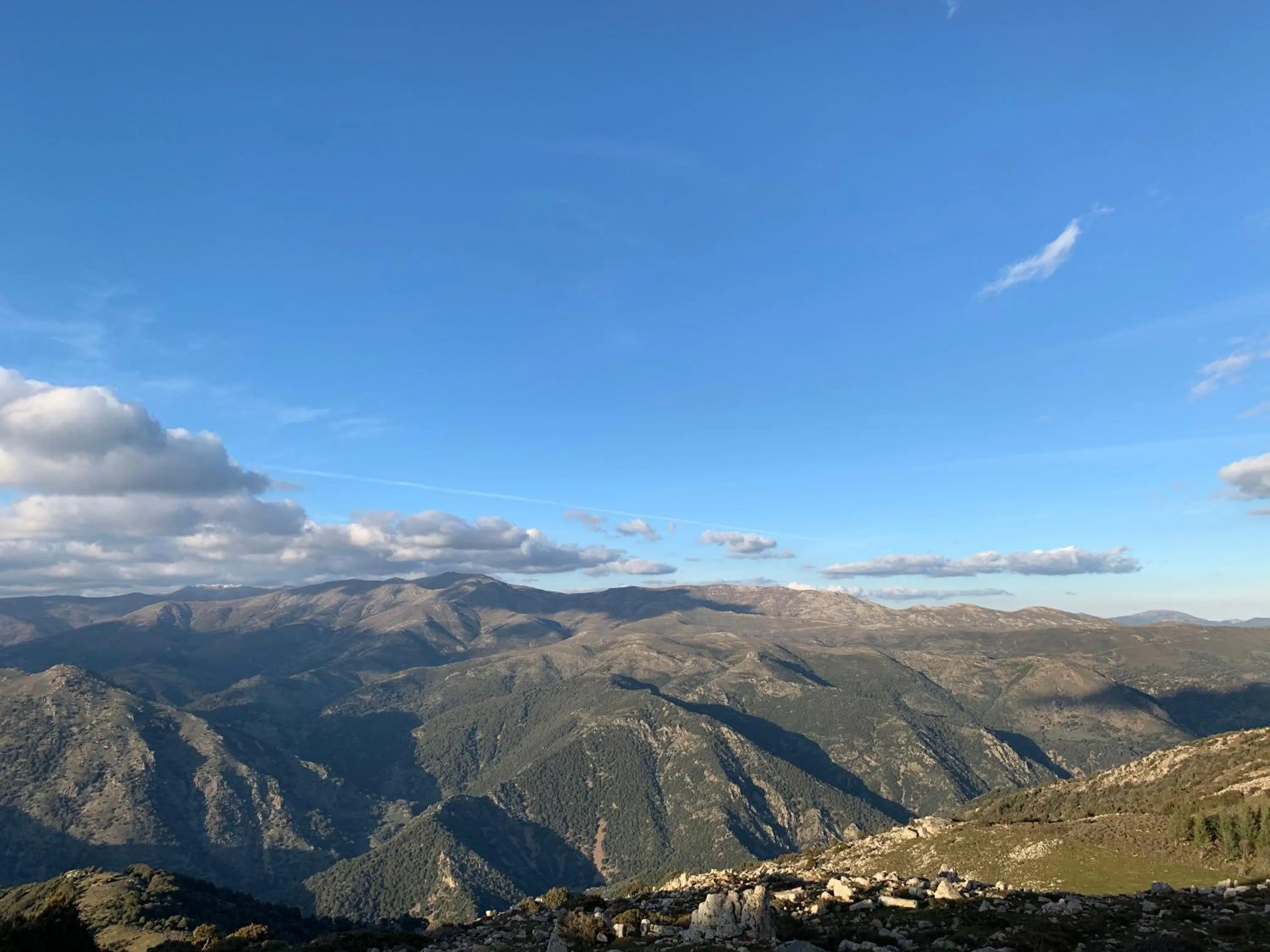 Garden view in Hotel Miramonti Seulo Turismo Rurale