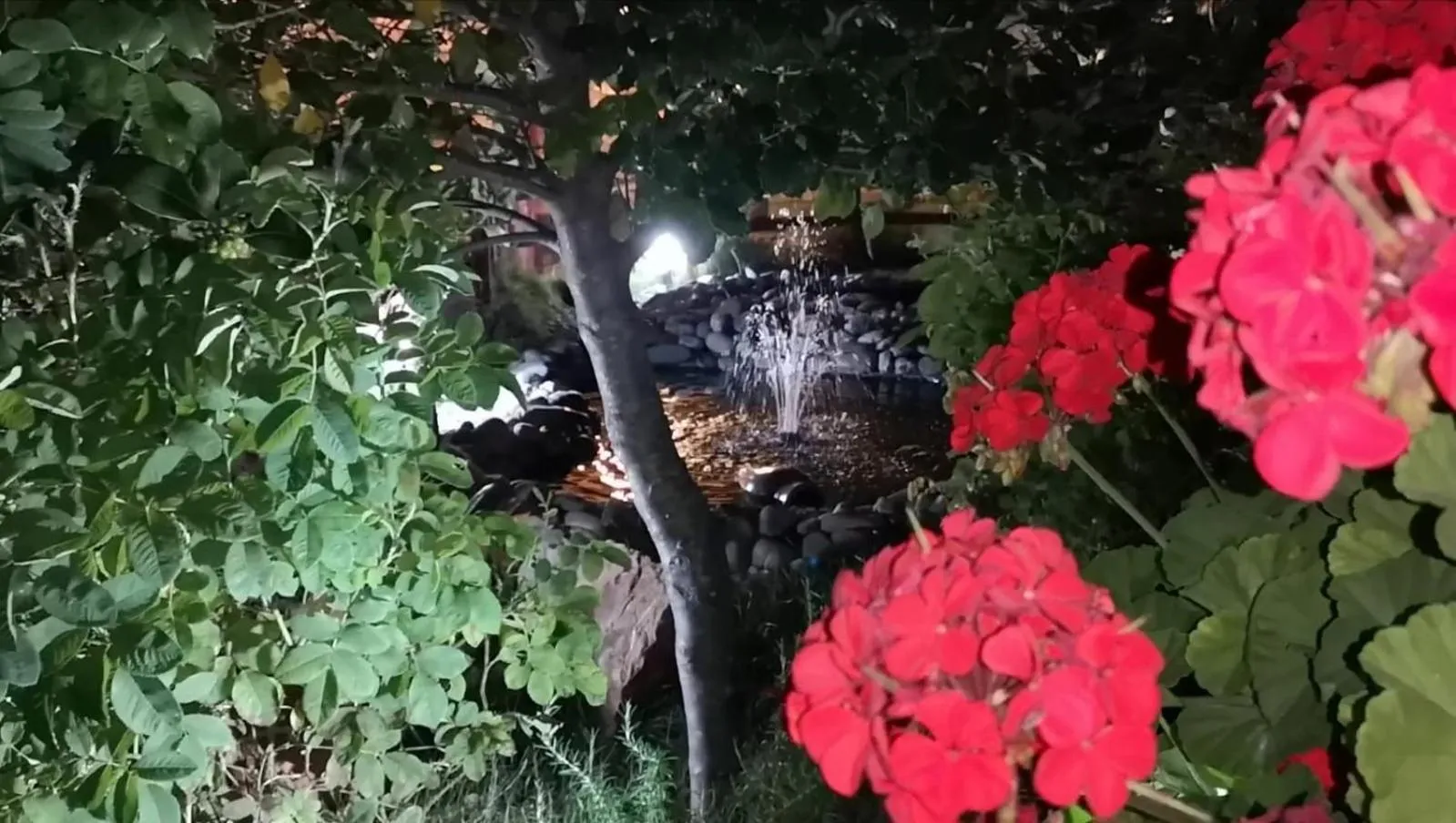 Hotel Miramonti Seulo Turismo Rurale