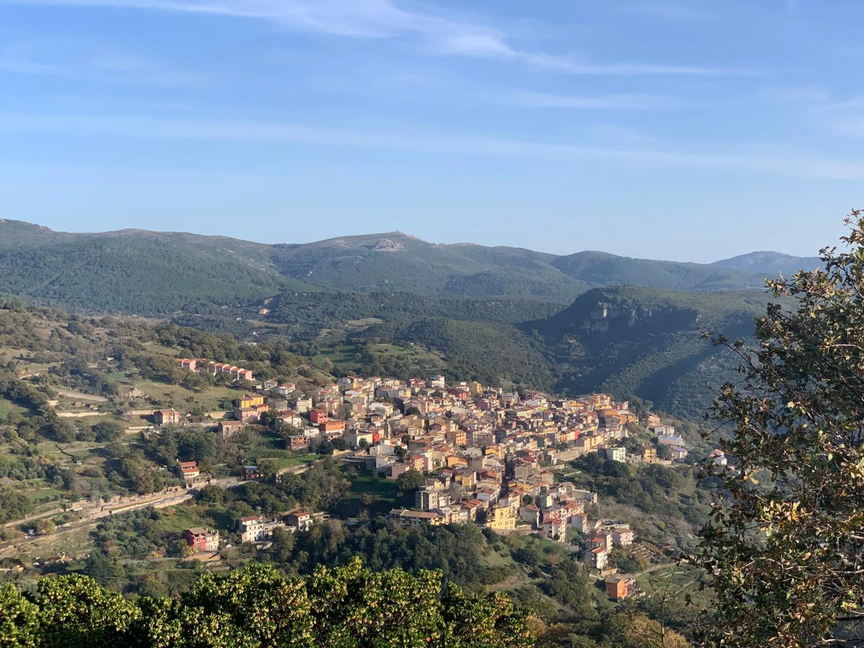 Other in Hotel Miramonti Seulo Turismo Rurale