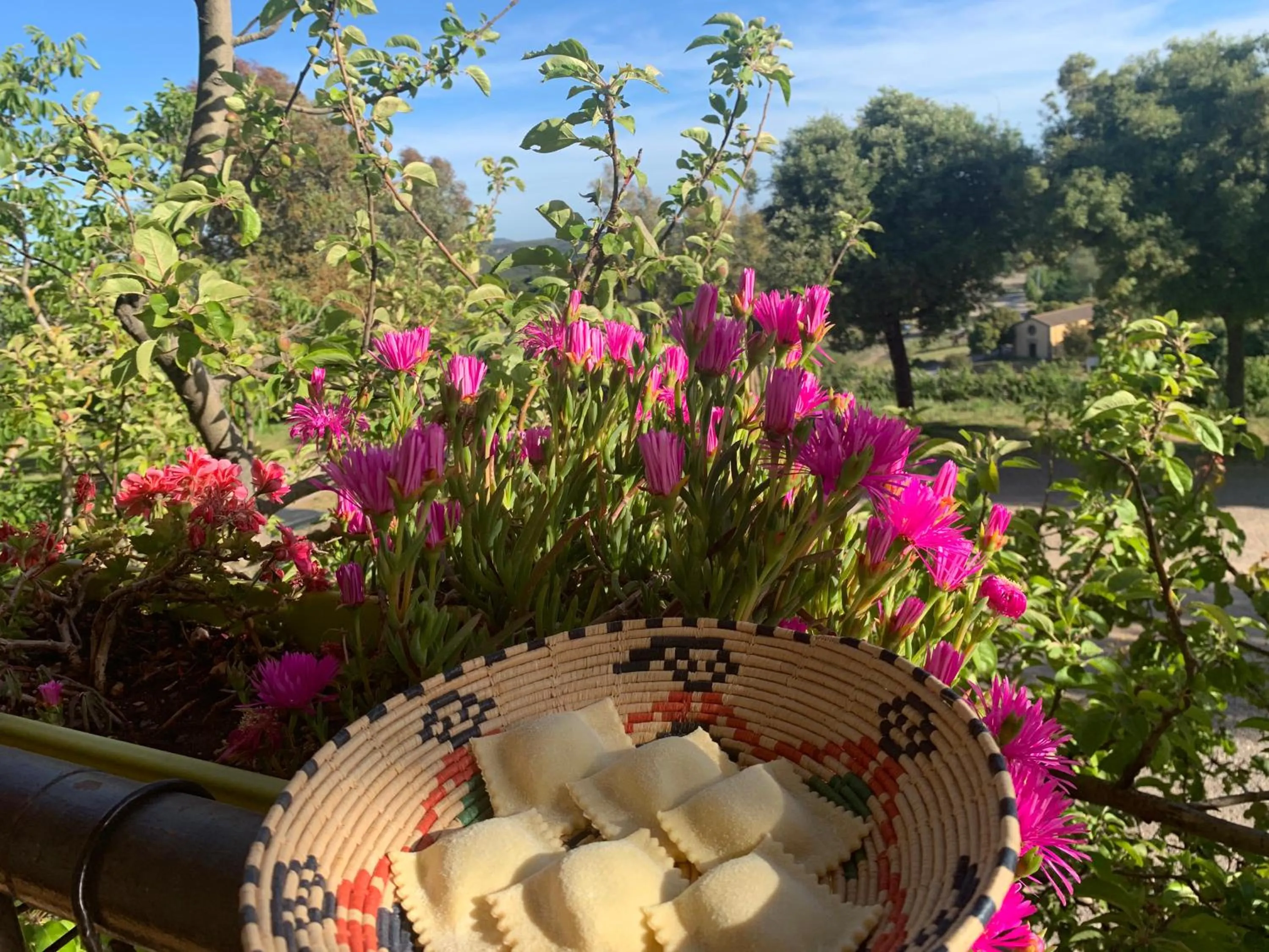 Restaurant/places to eat in Hotel Miramonti Seulo Turismo Rurale