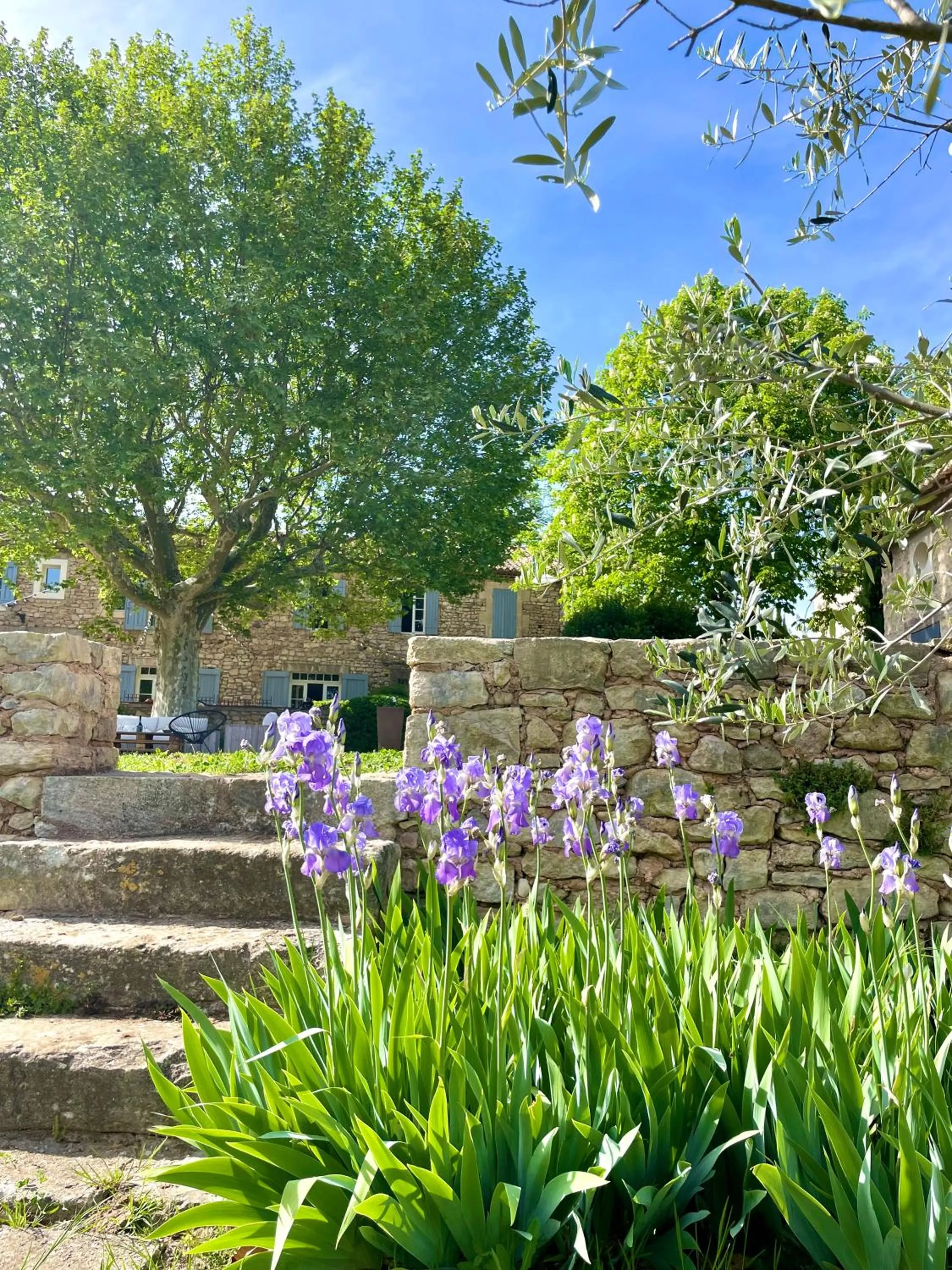 Garden in La Grande Verrière - Luberon en Provence