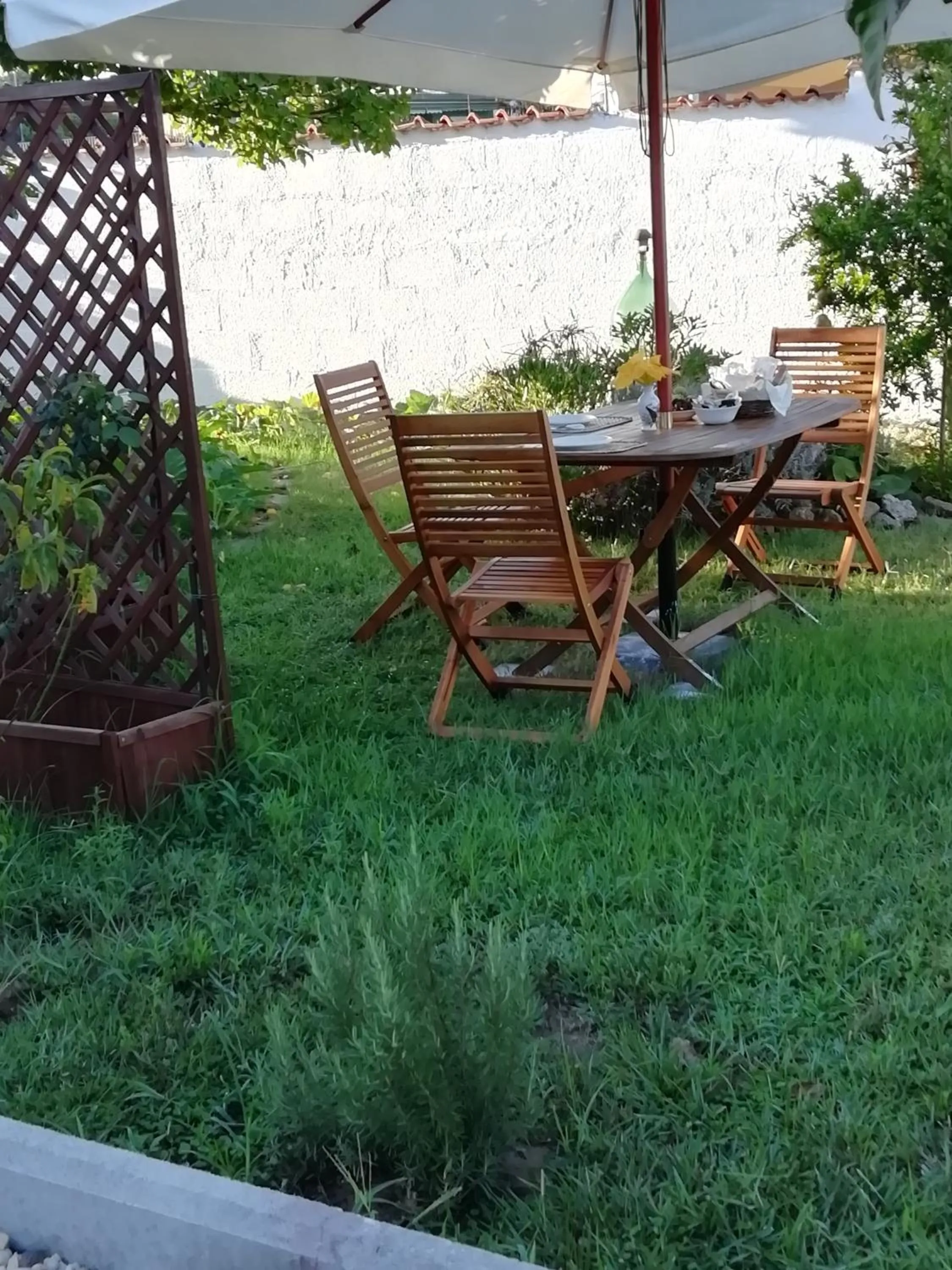 Activities in B&B Villa Claudia