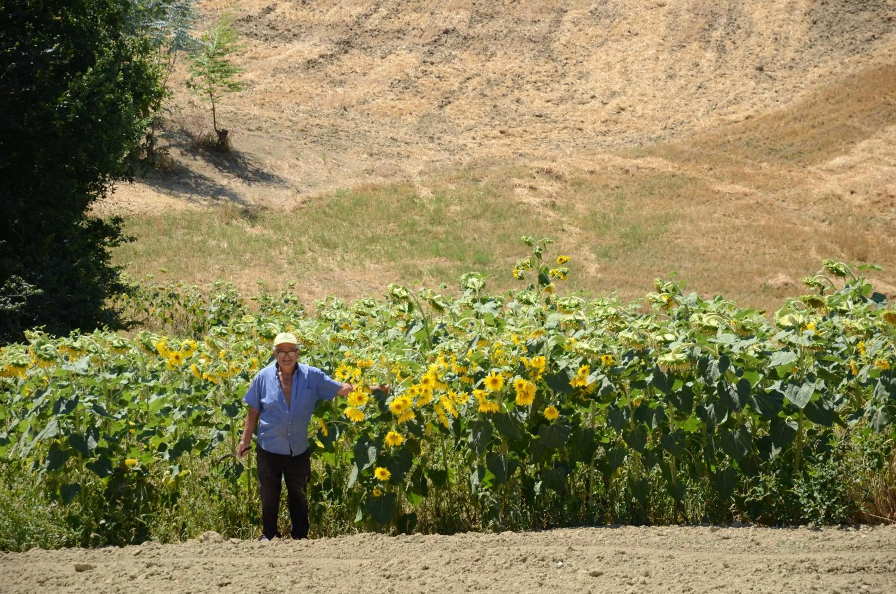 View (from property/room) in Il Vecchio Pioppo