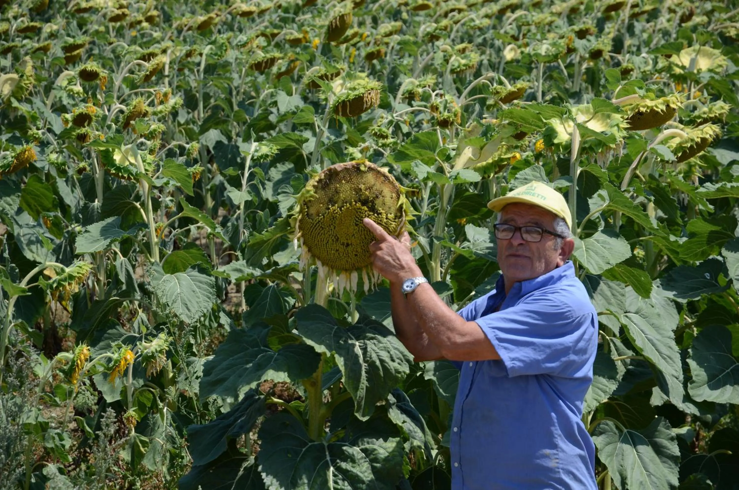 View (from property/room) in Il Vecchio Pioppo