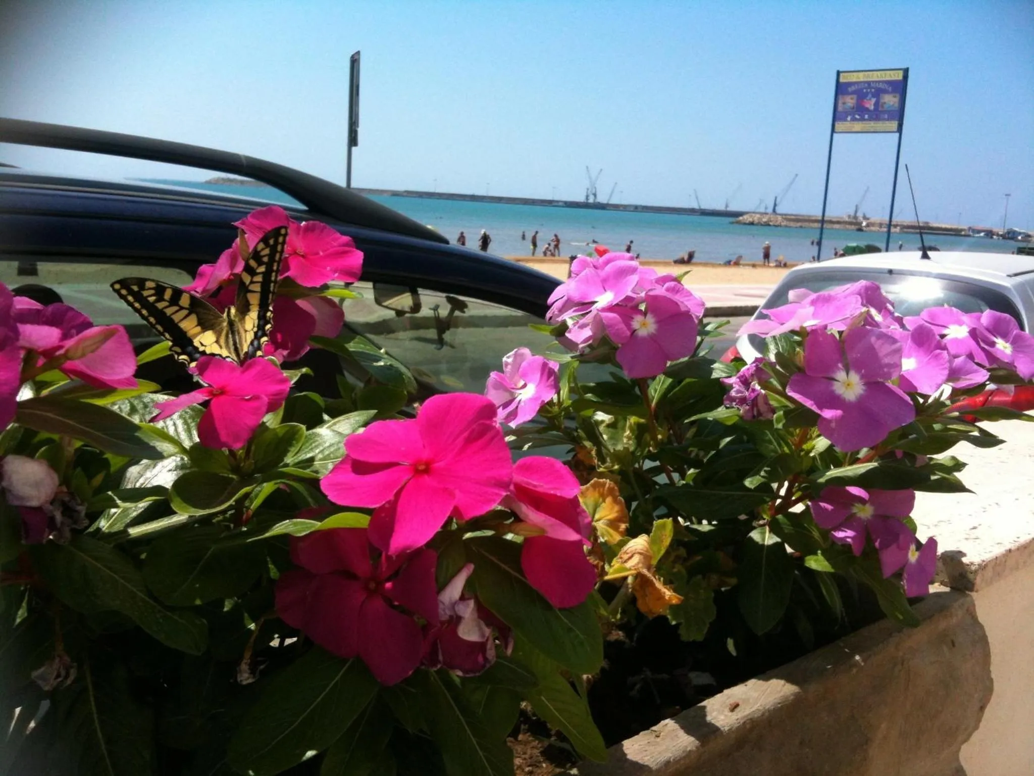 Facade/entrance in Terrazze Sul Mare