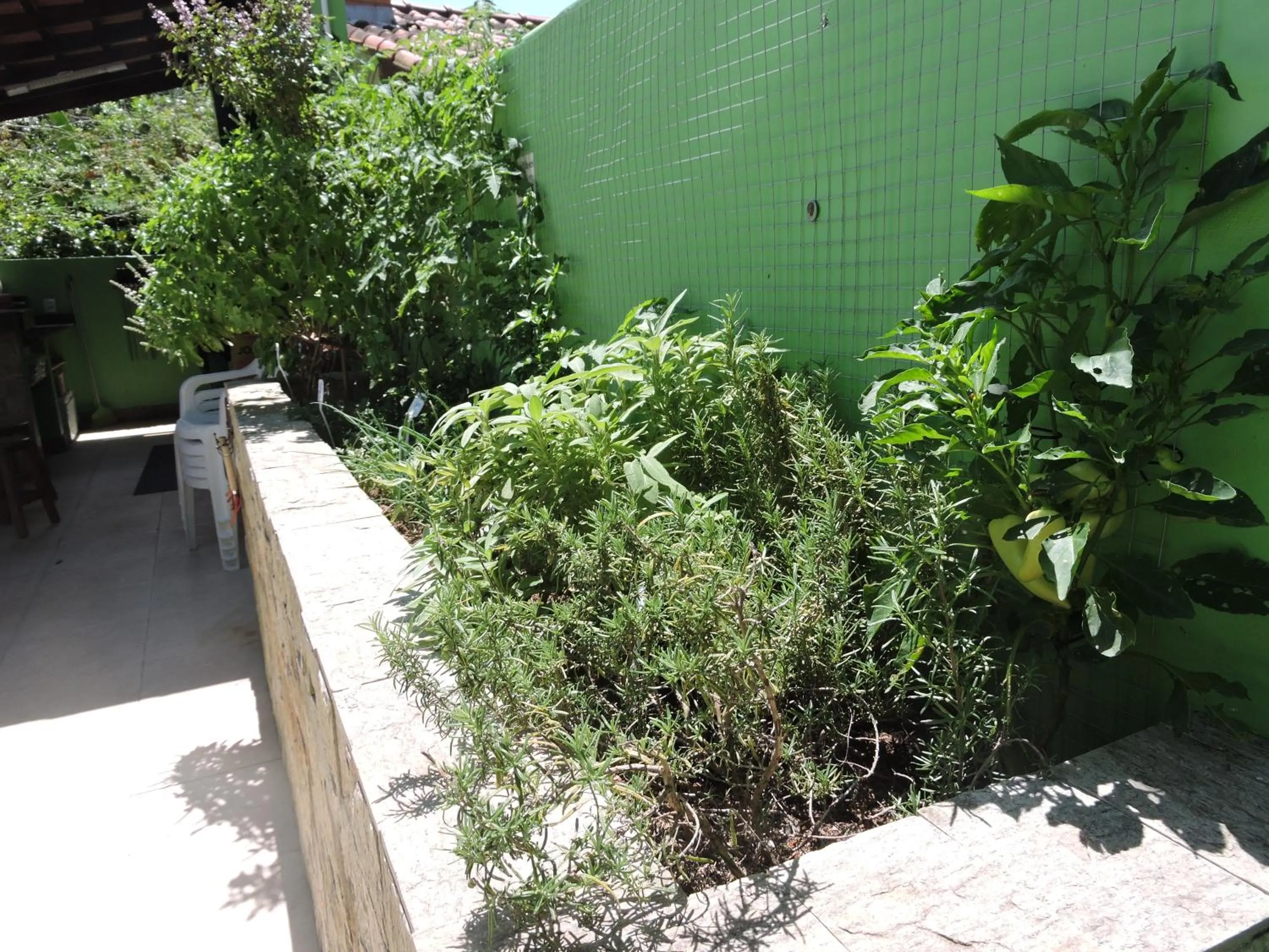 Garden in Castelo da Ilha