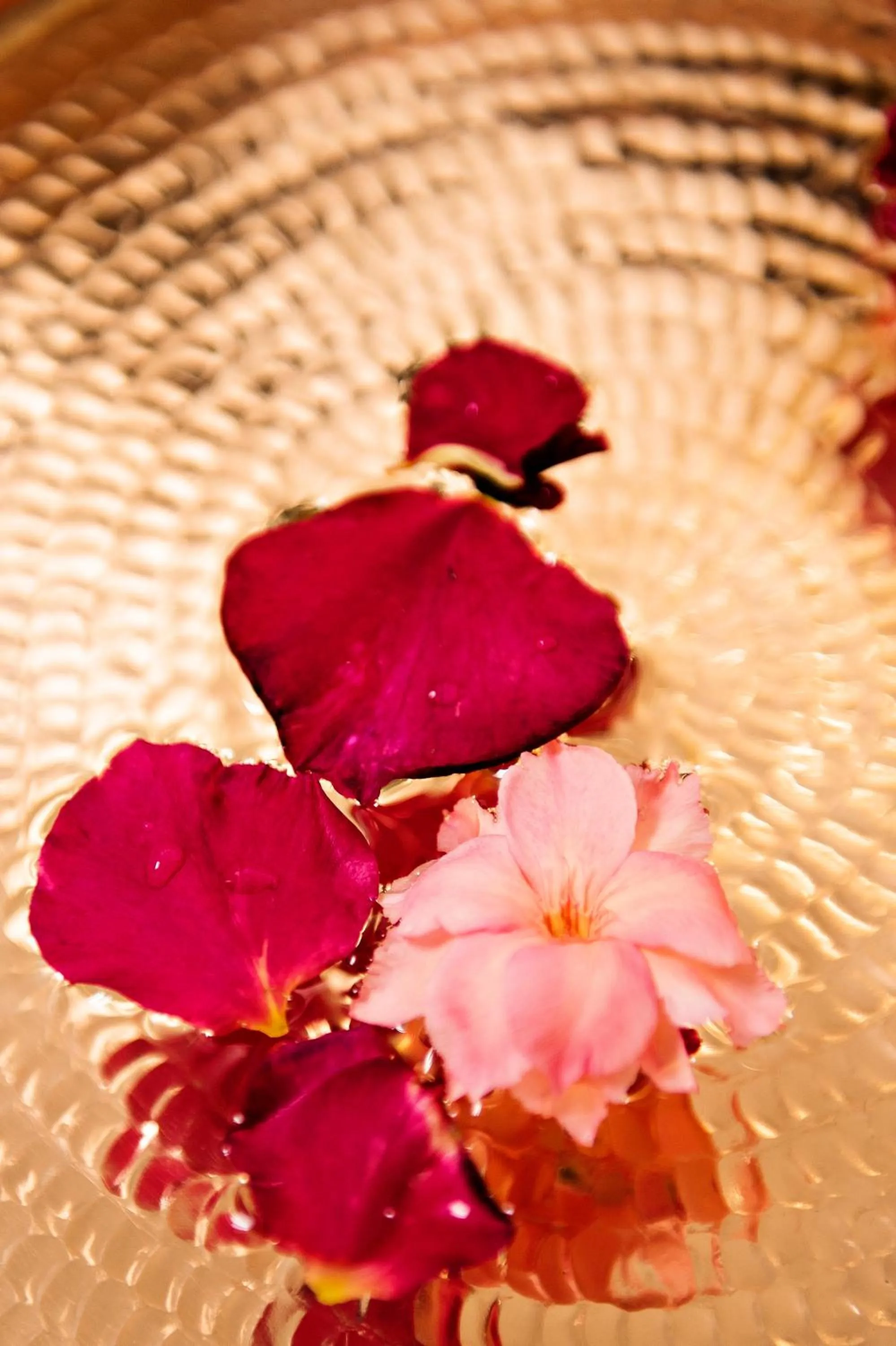 Spa and wellness centre/facilities in Circa 1928