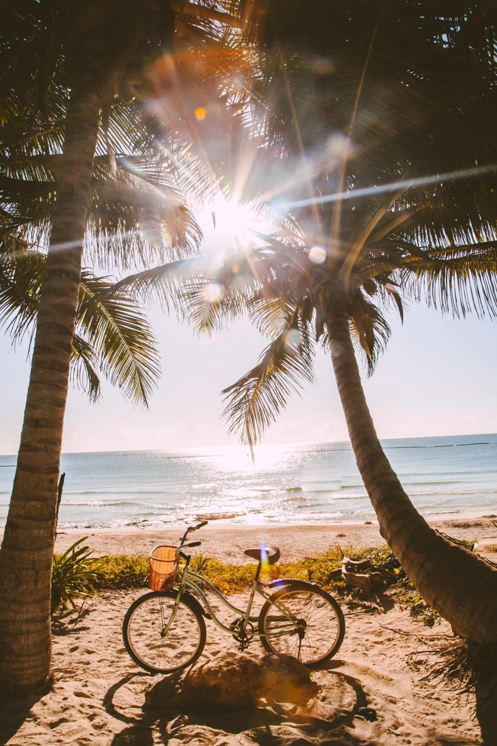 Day in Che Playa Hostel & Bar Adults Only