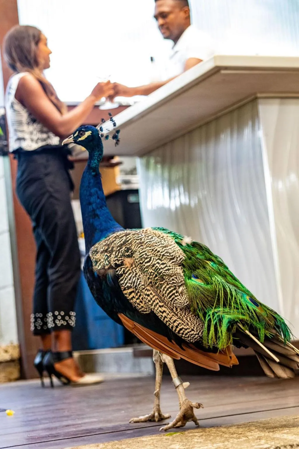 Restaurant/places to eat in Sweetfield Manor