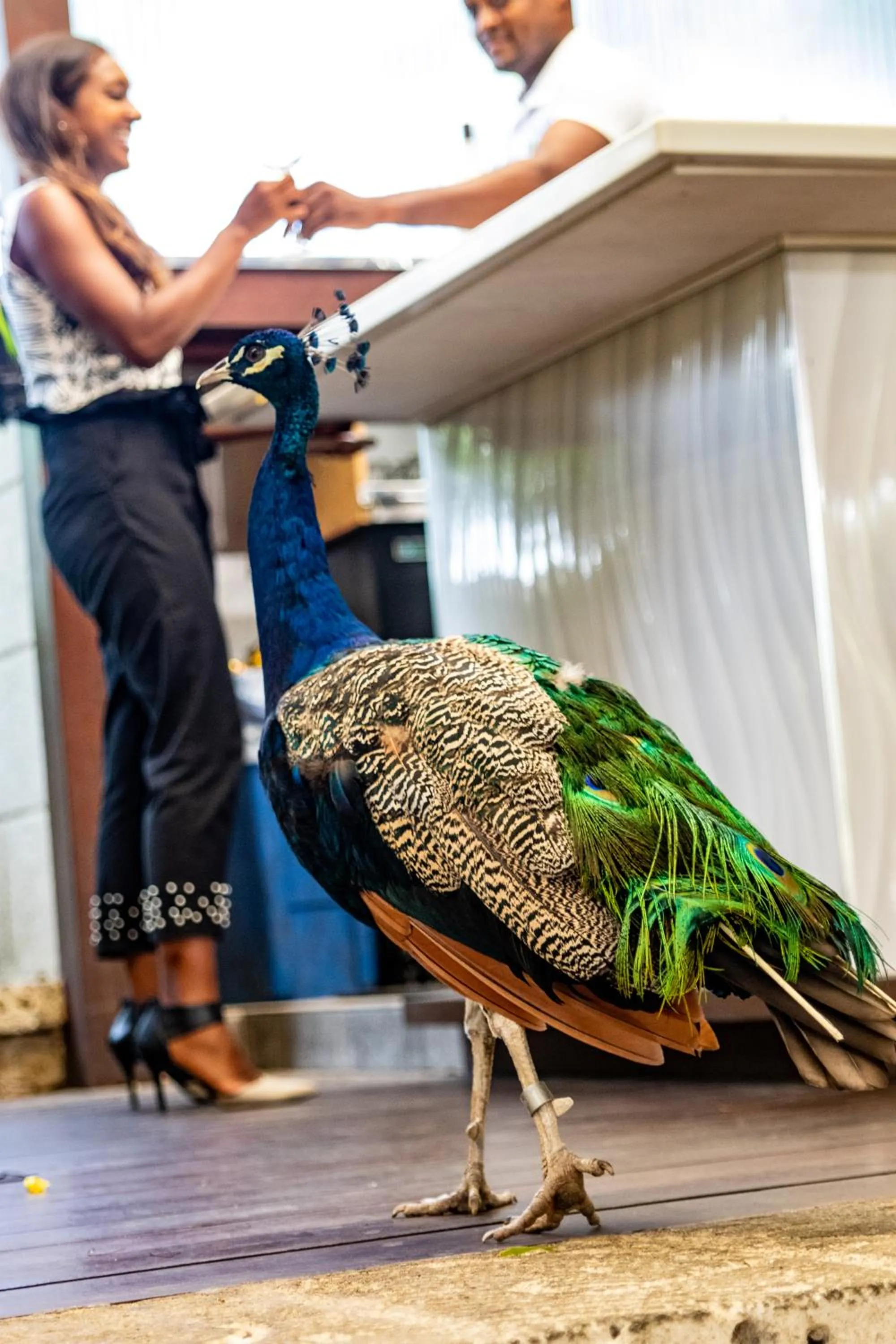 Restaurant/places to eat in Sweetfield Manor