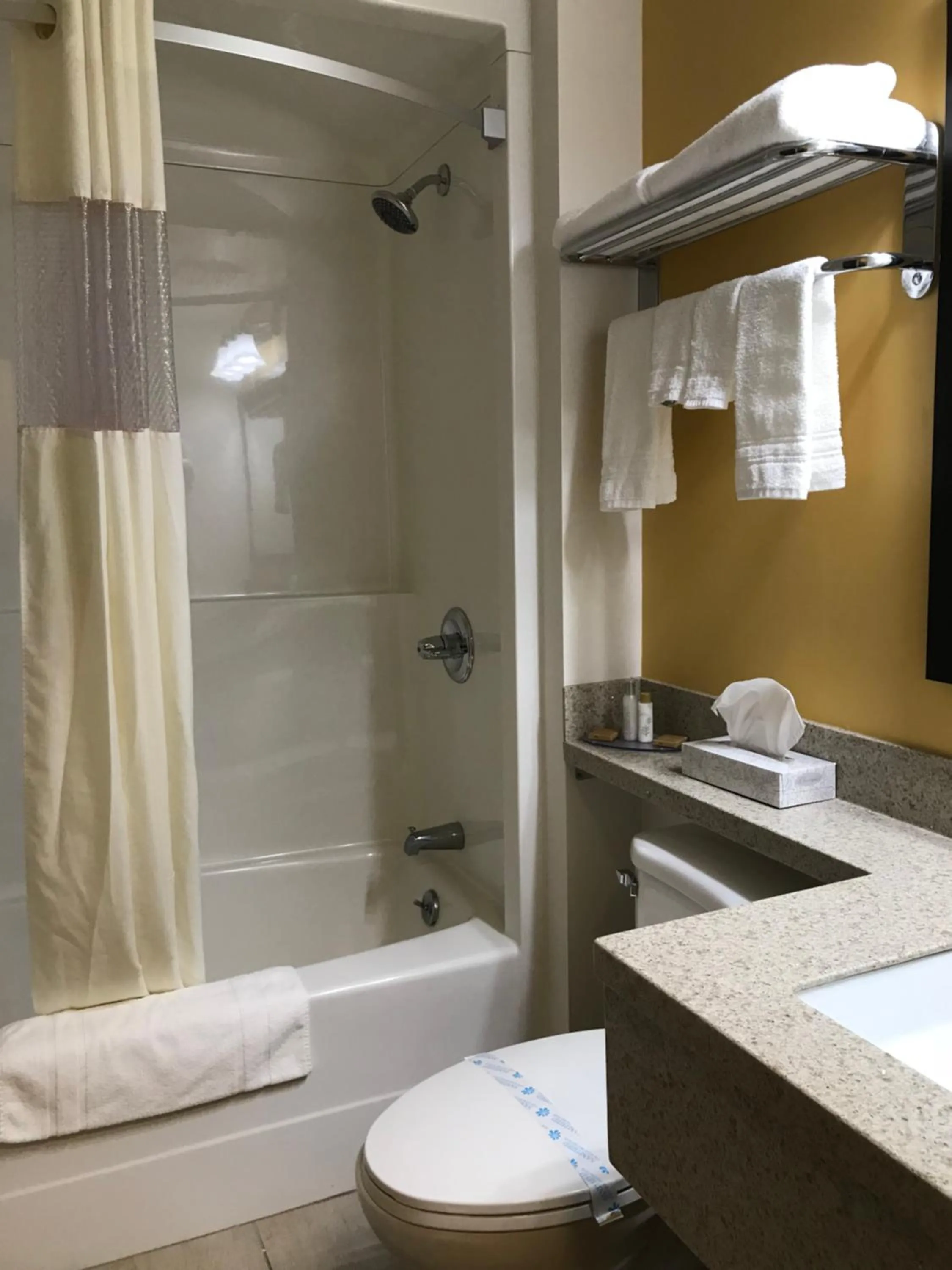 Bathroom in Bay Hill Inns & Suites