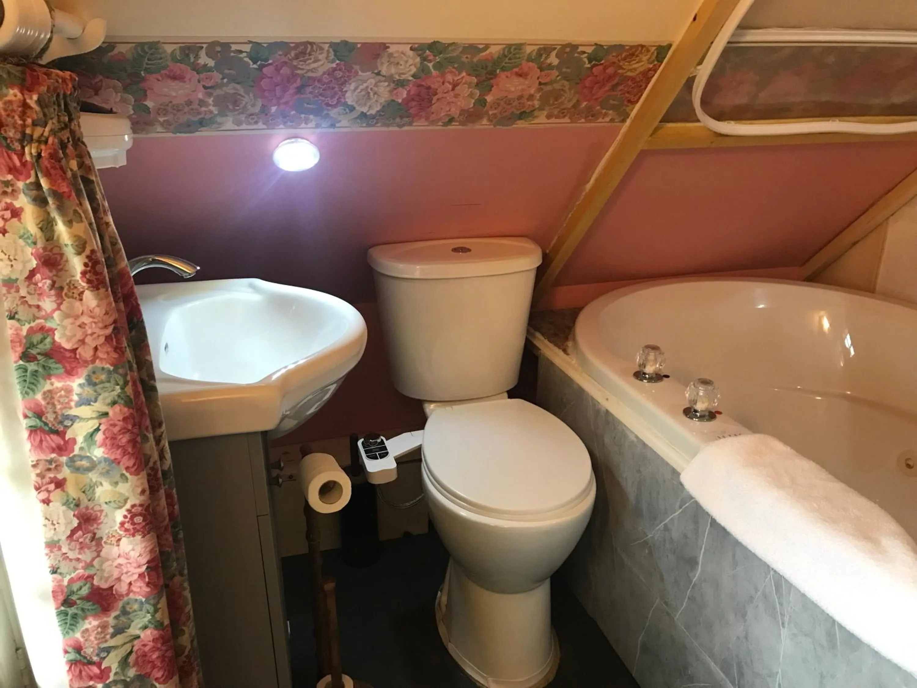 Toilet in Haterleigh Heritage Inn