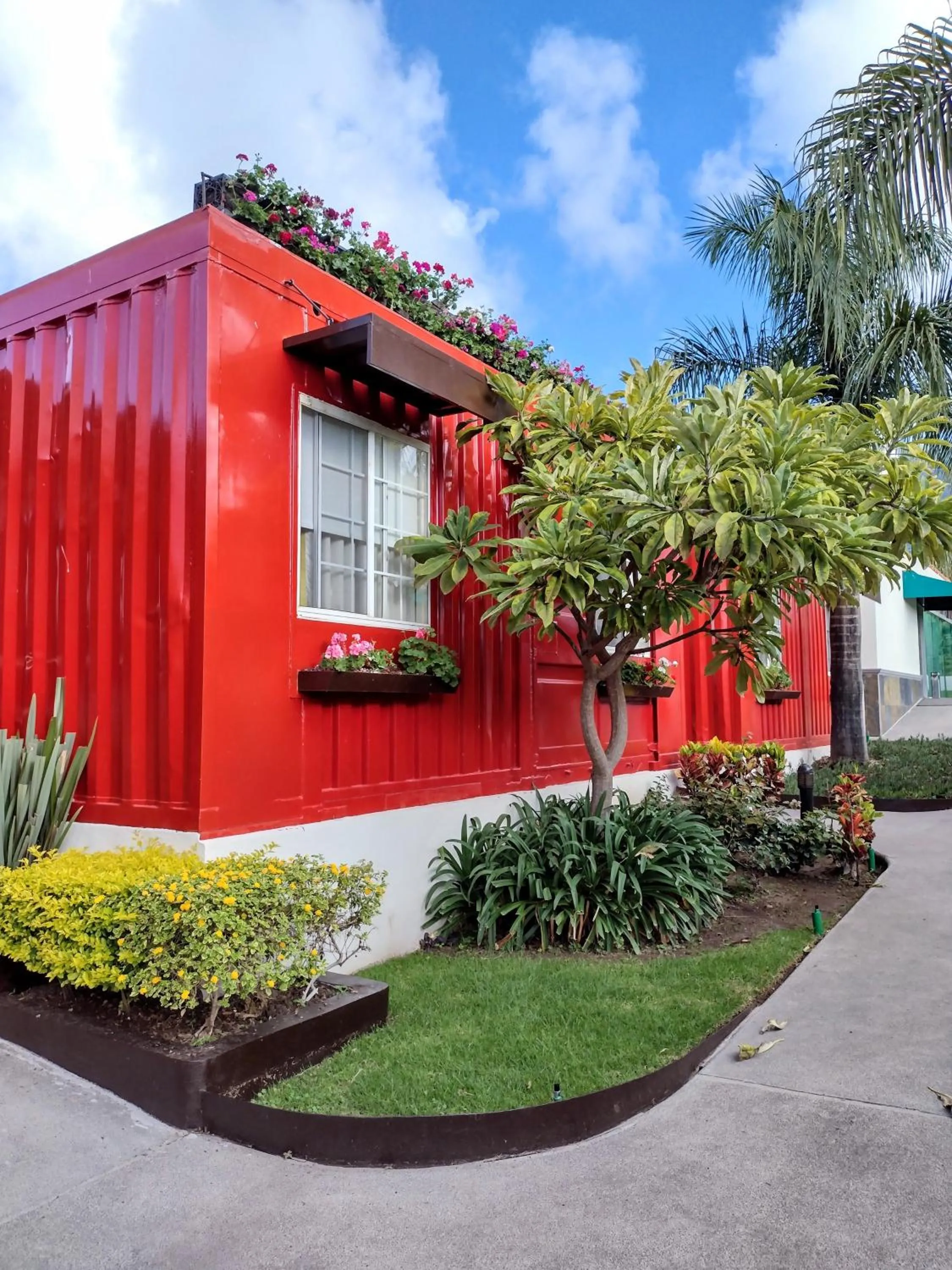 View (from property/room) in Hotel del Pescador