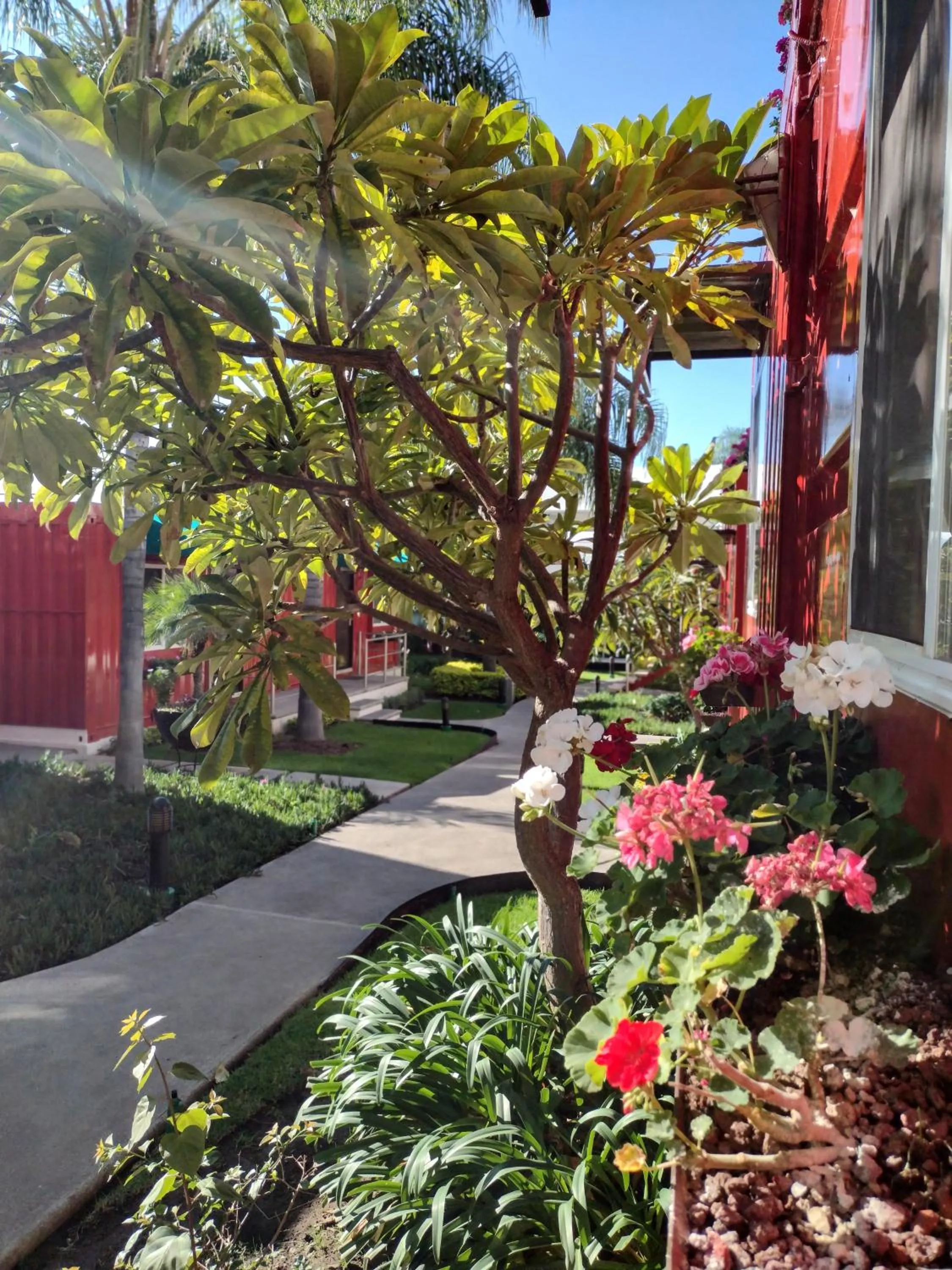 Garden view in Hotel del Pescador