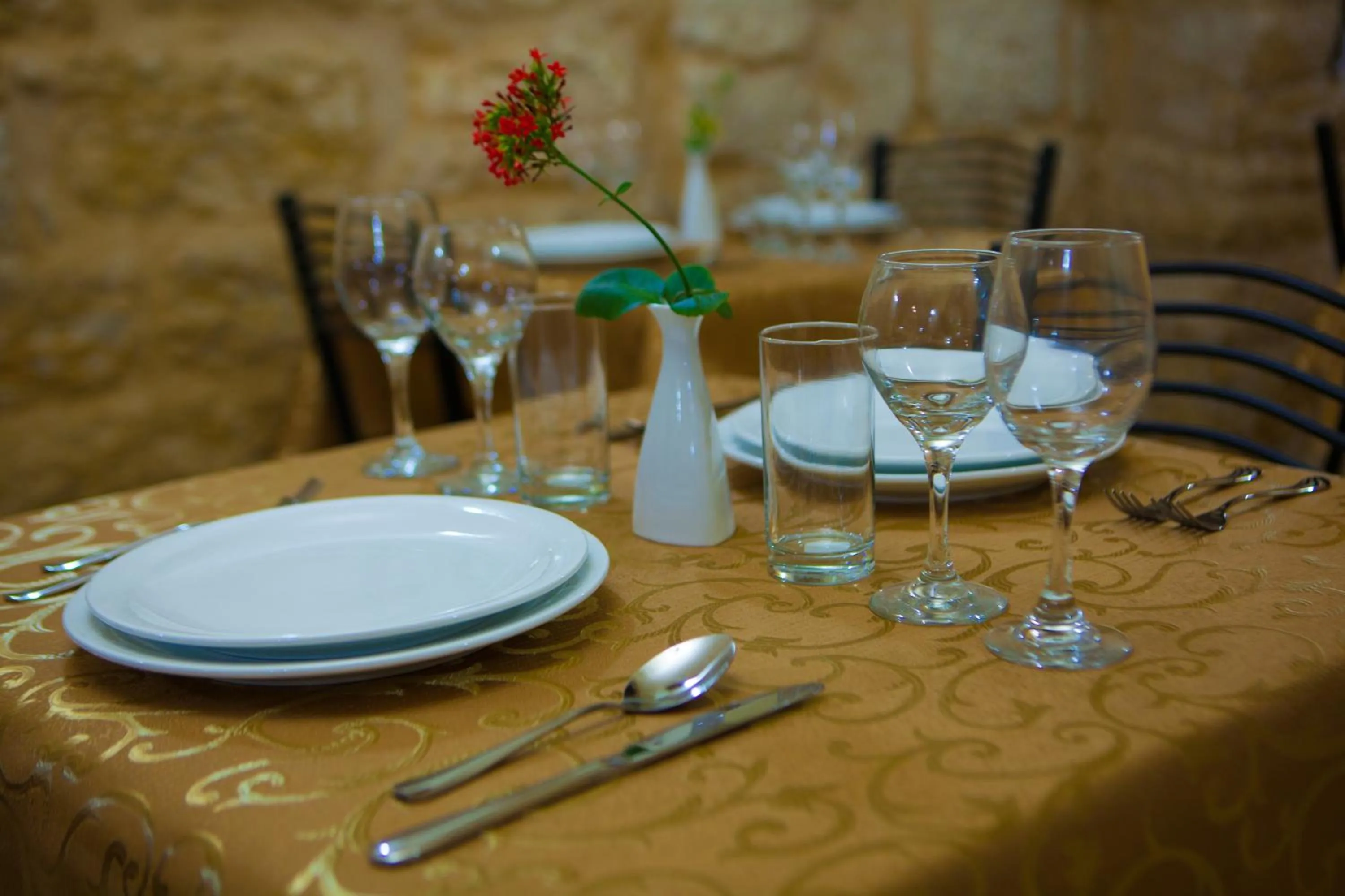 Food and drinks in Dar Sitti Aziza