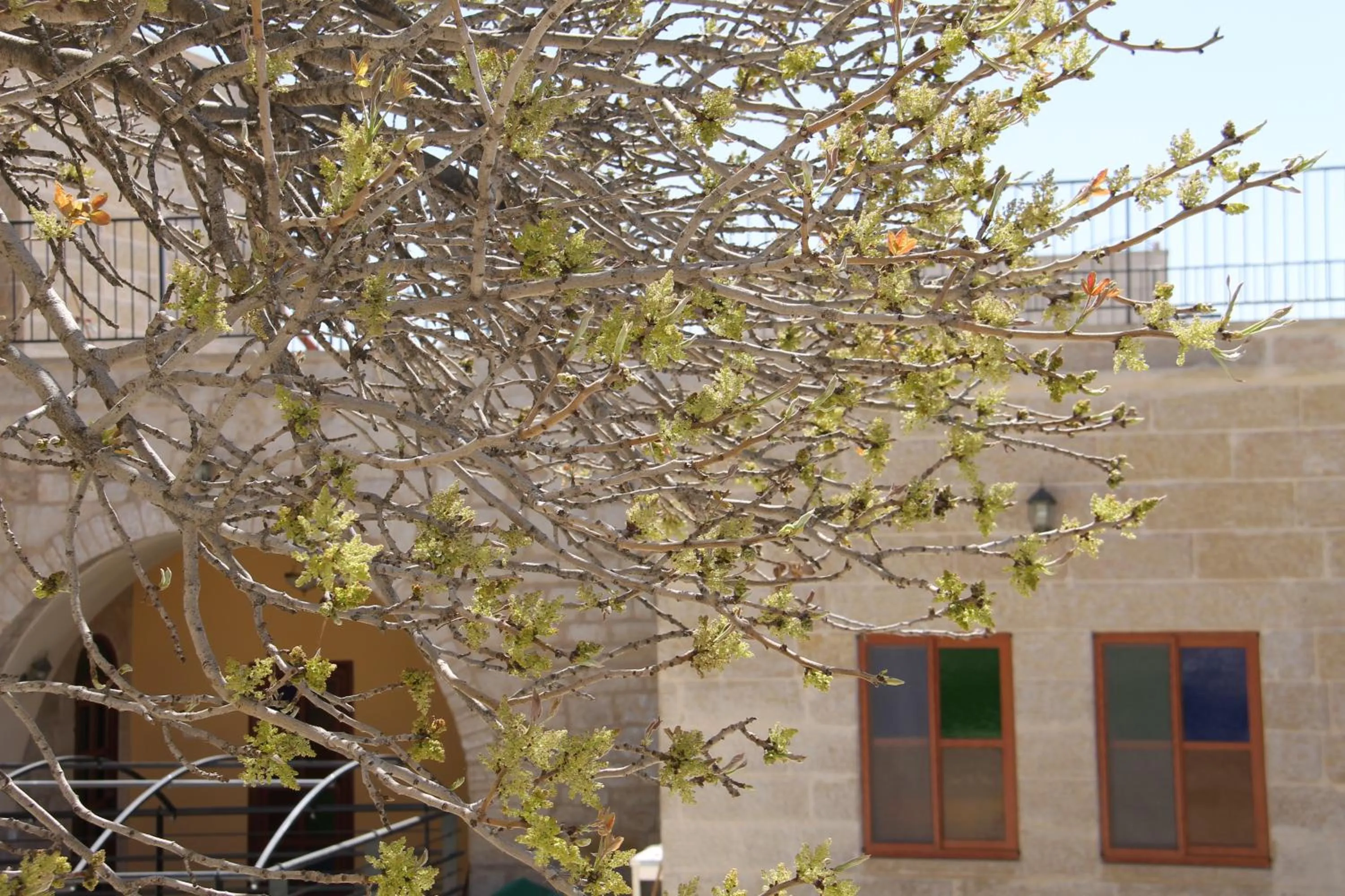 Facade/entrance in Dar Sitti Aziza