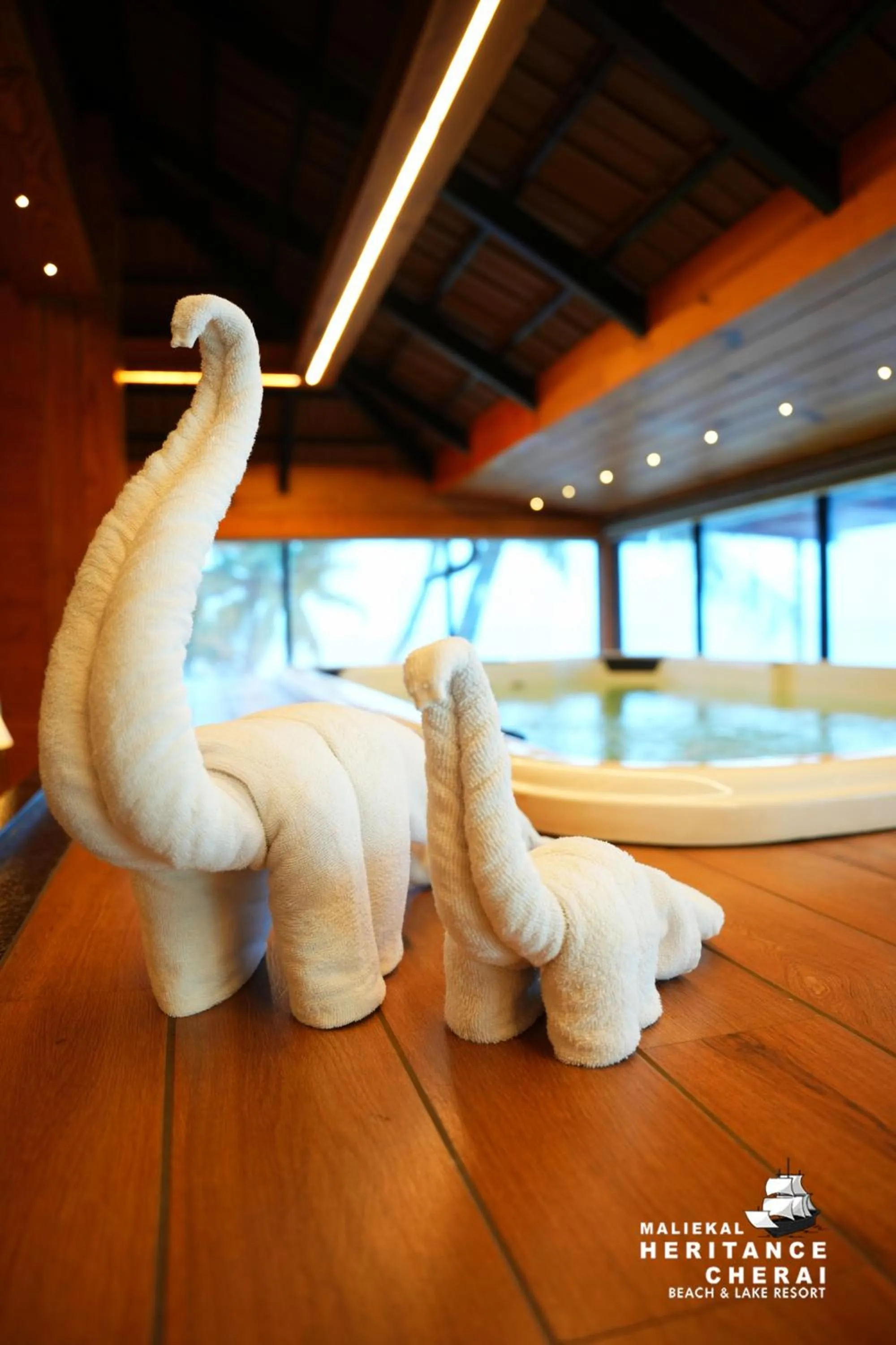 Swimming pool in Maliekal Heritance Cherai Beach Cochin