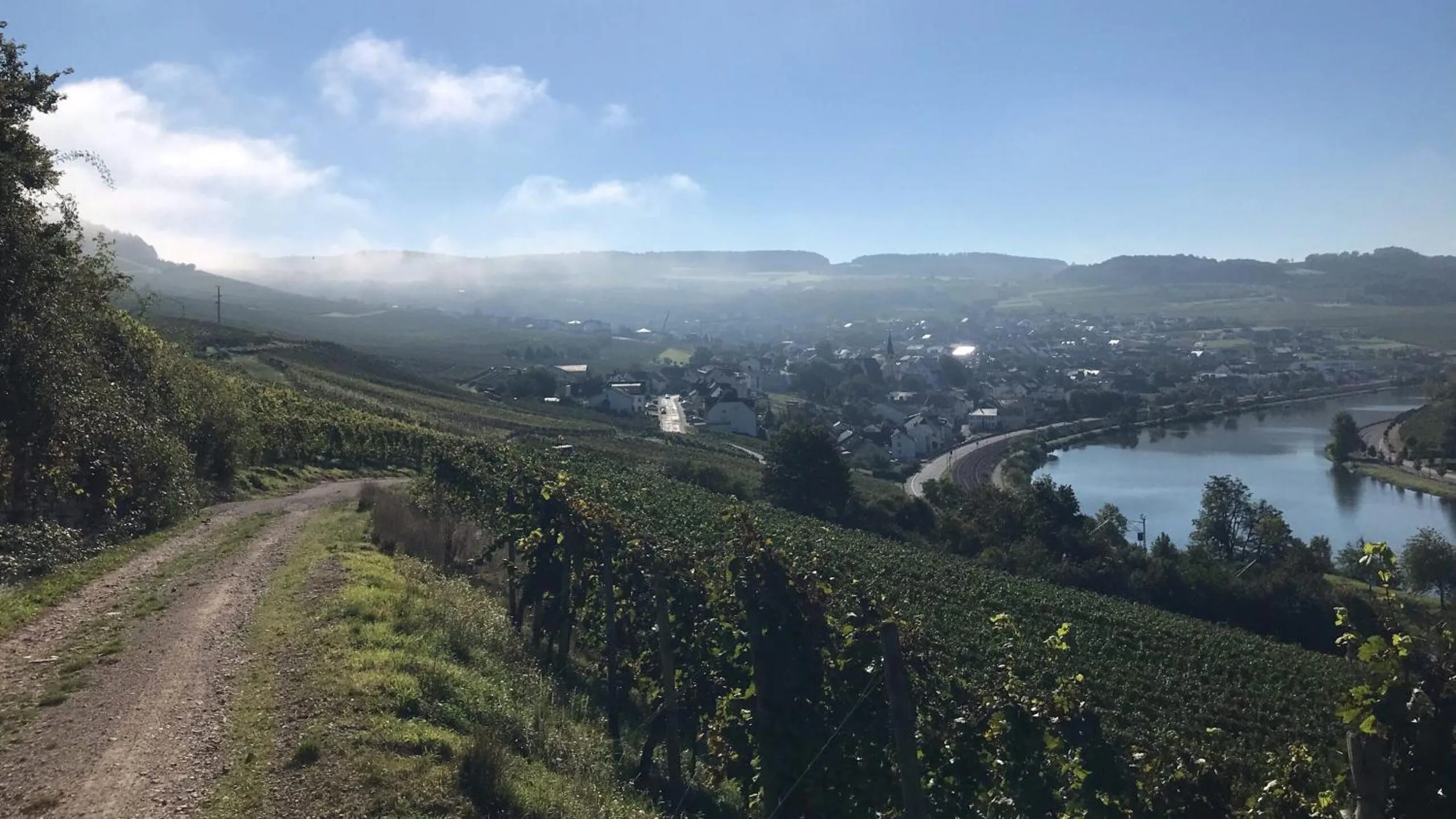 Natural landscape in Gästehaus und Weingut Bernd Frieden