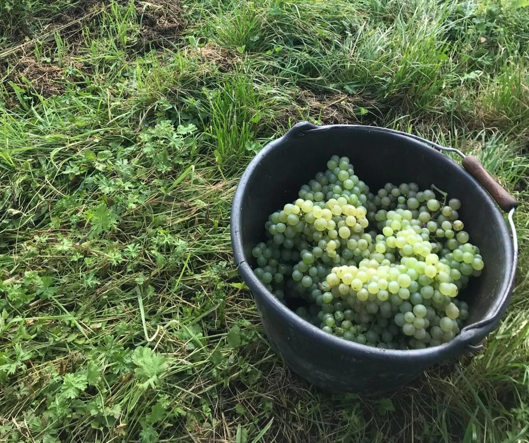 Day in Gästehaus und Weingut Bernd Frieden
